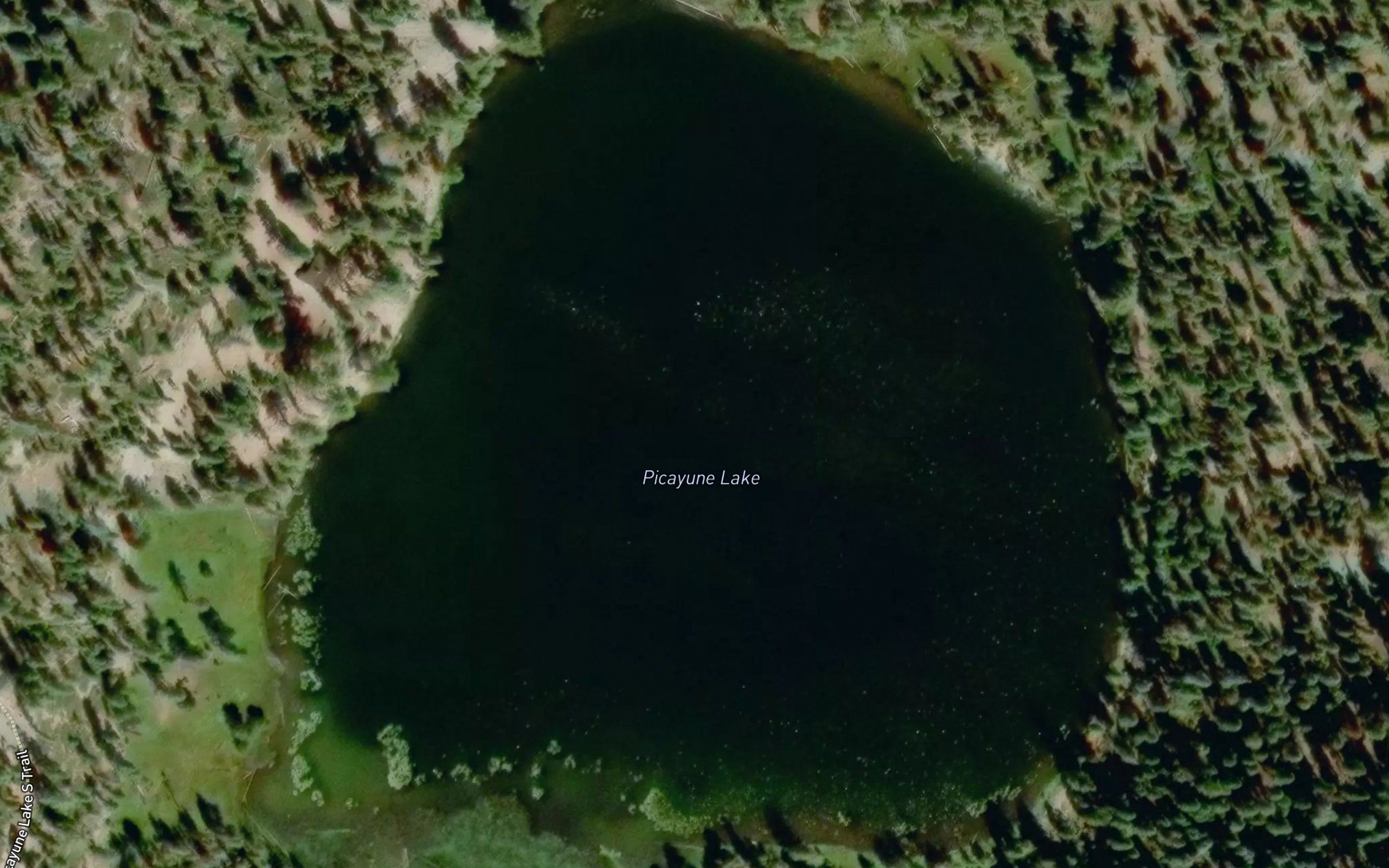 Picayune Lake