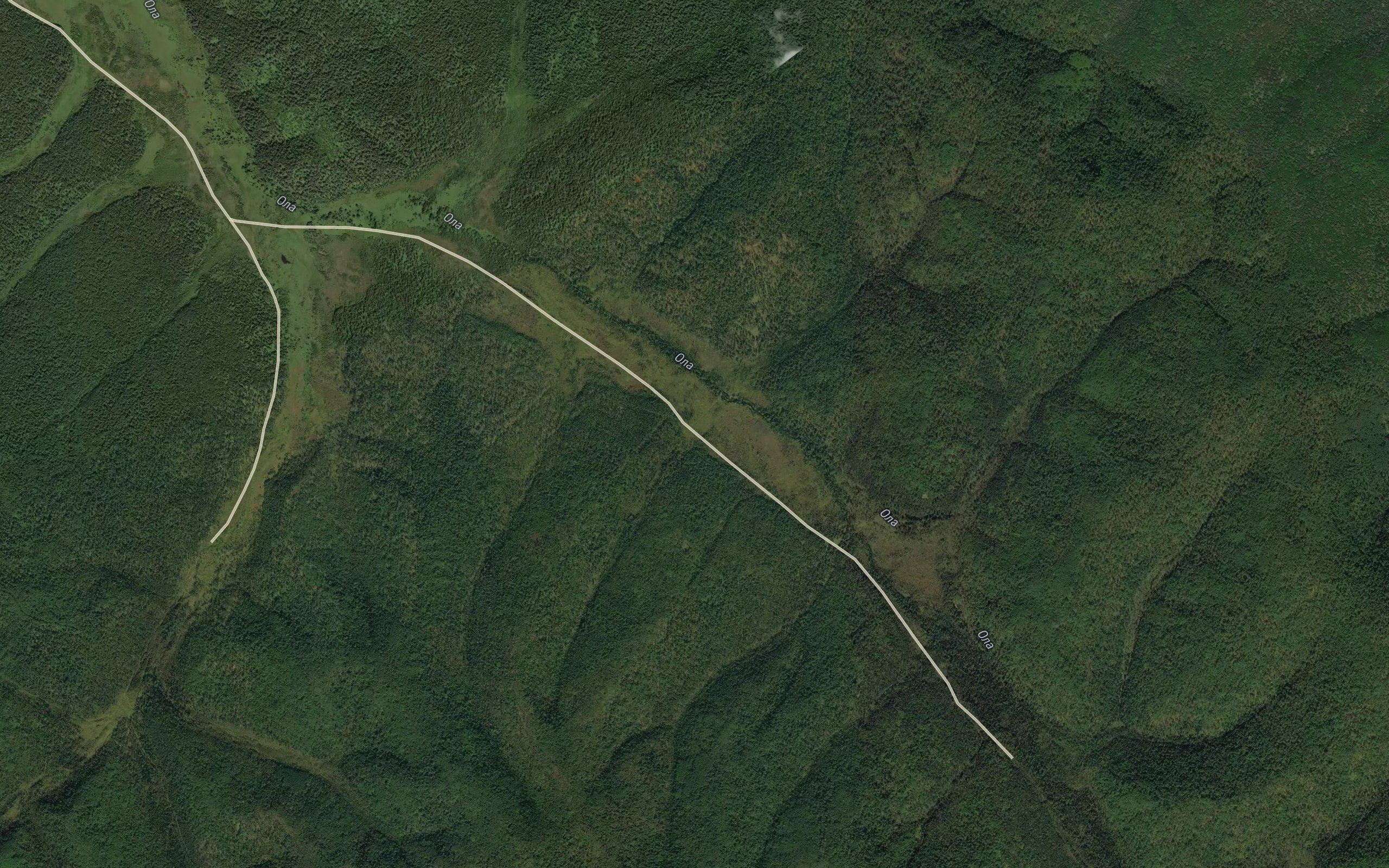Yamnaya Pervaya
