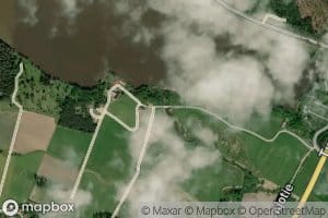Palo-oja