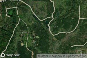 Satellite map of the Parrish Pond