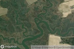 Bowers Creek