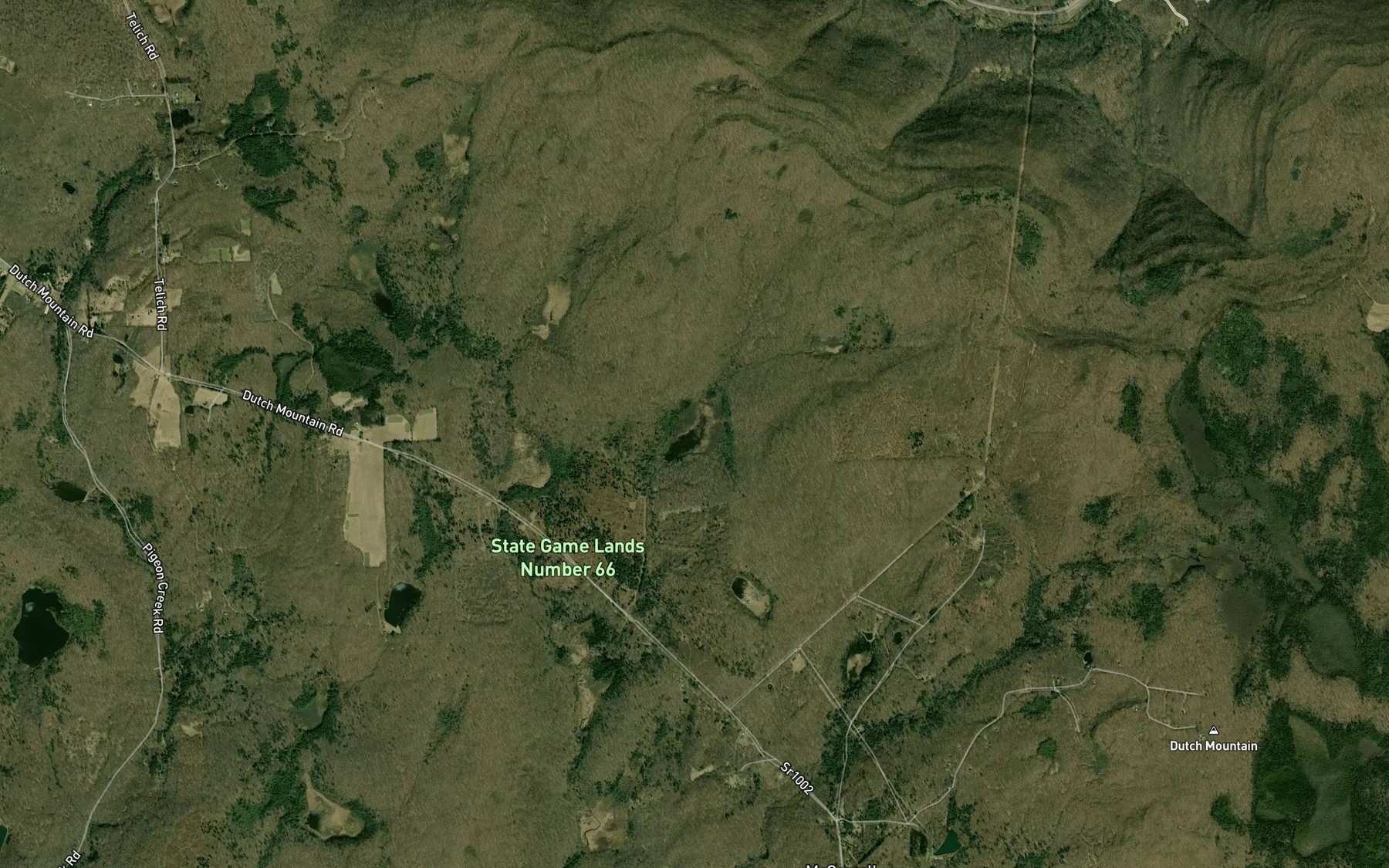 Satellite map of the Pine Marsh