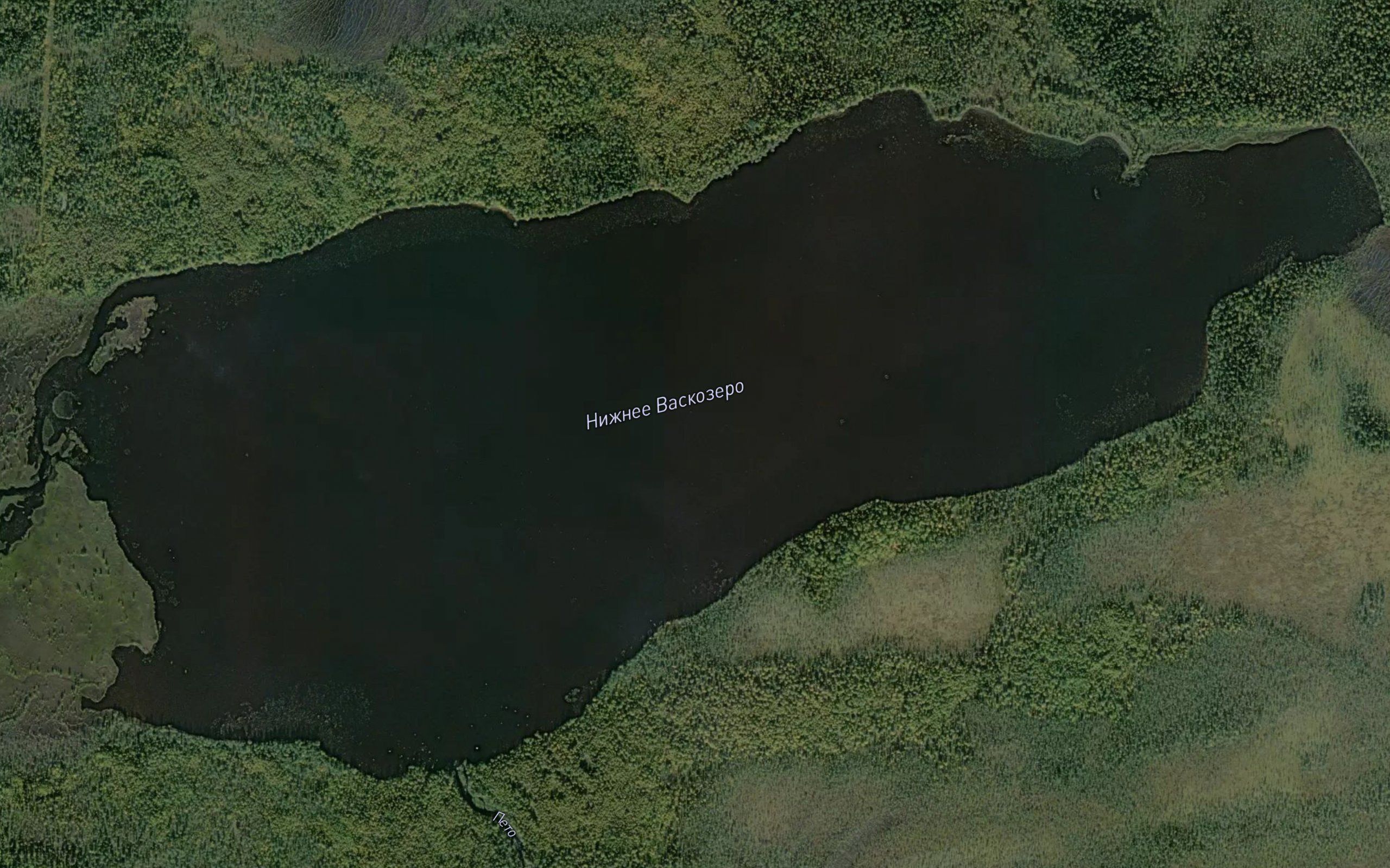 Ozero Nizhneye Vaskozero
