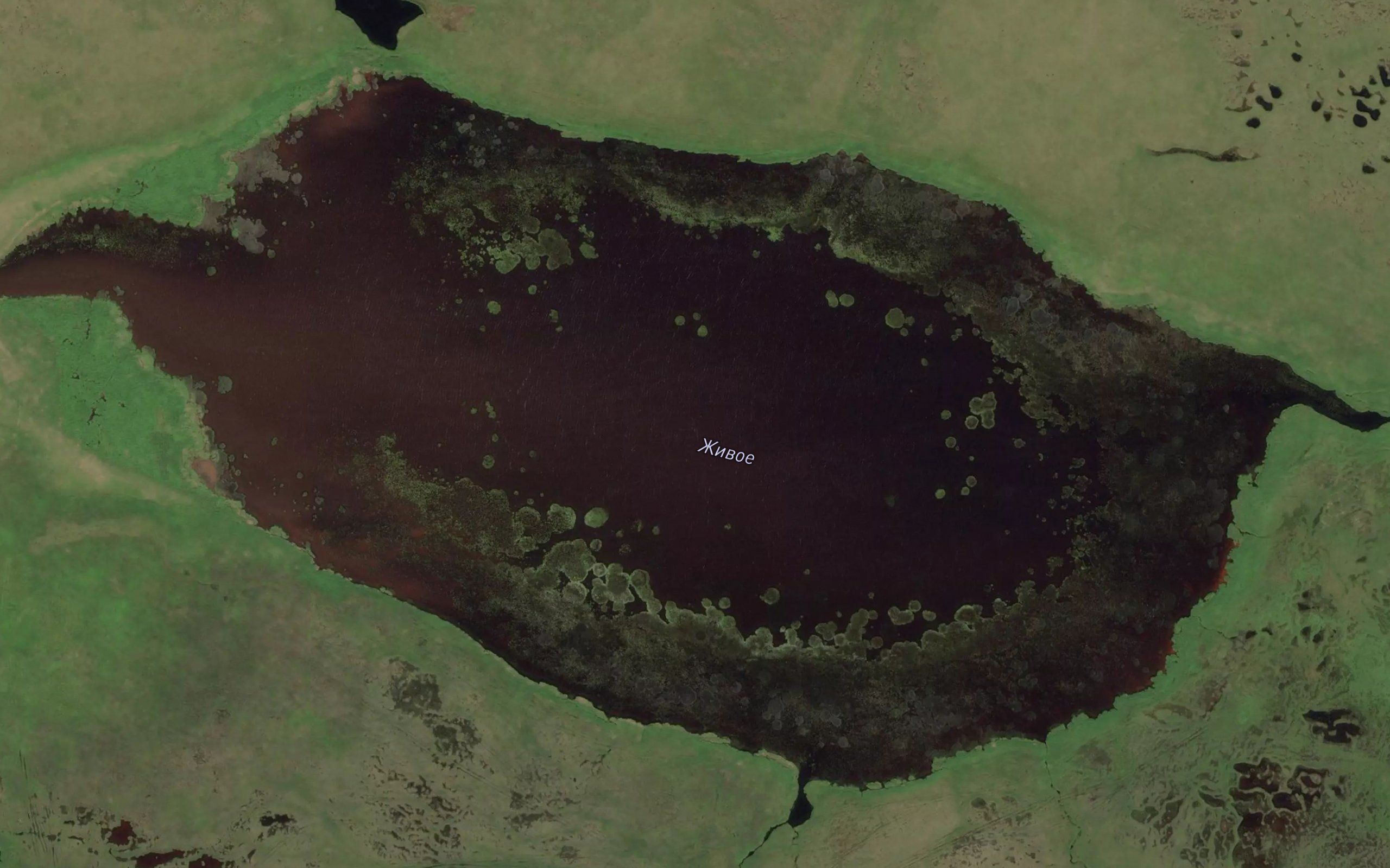 Ozero Zhivoye