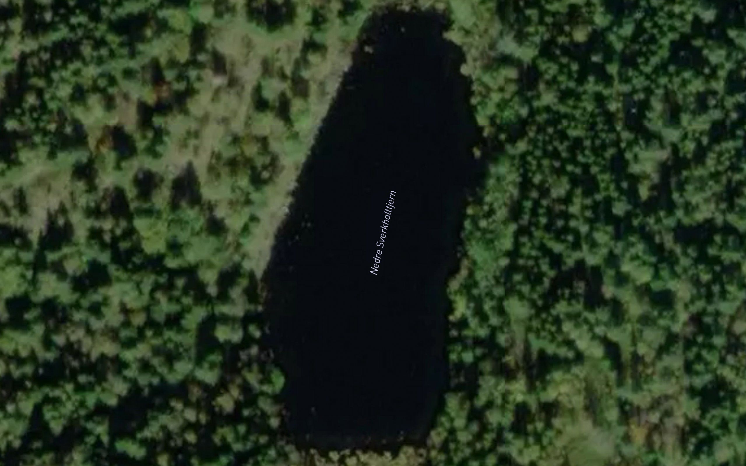 Nedre Sverkholttjern