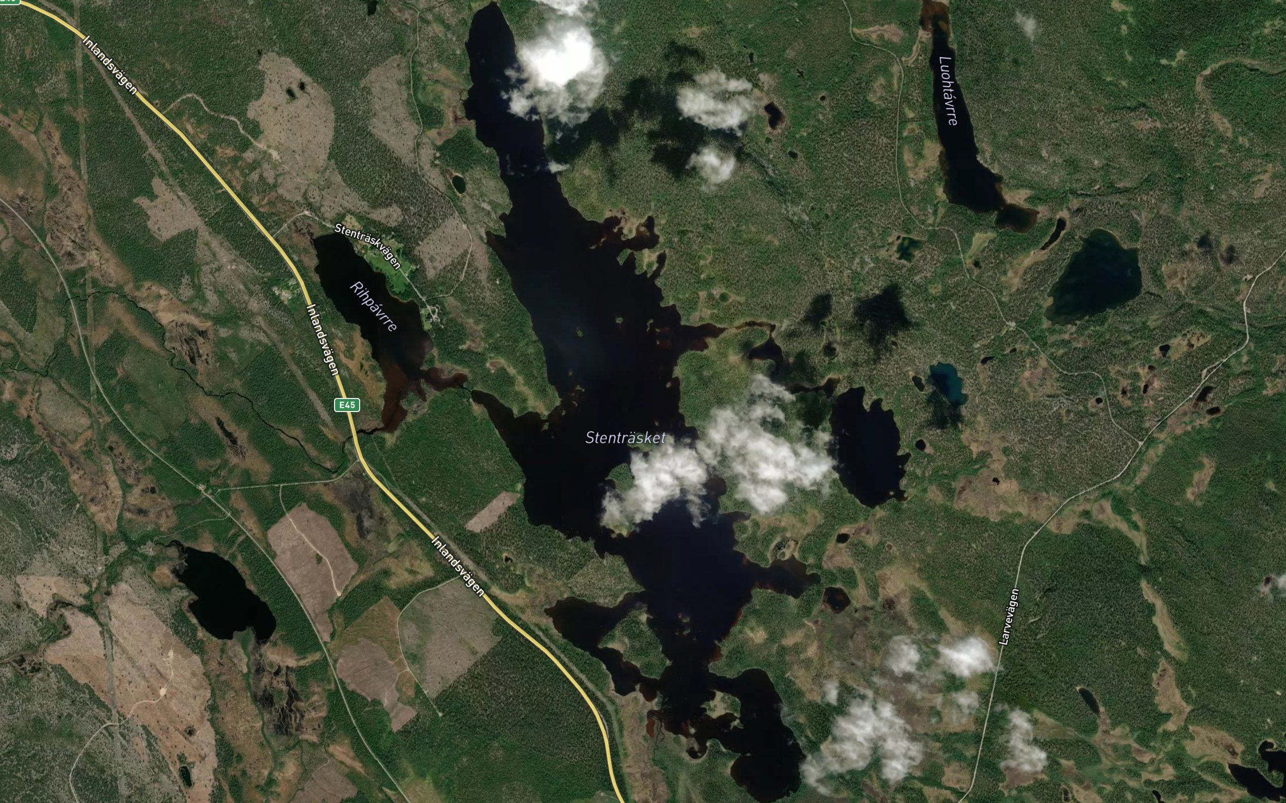 Stentrasket