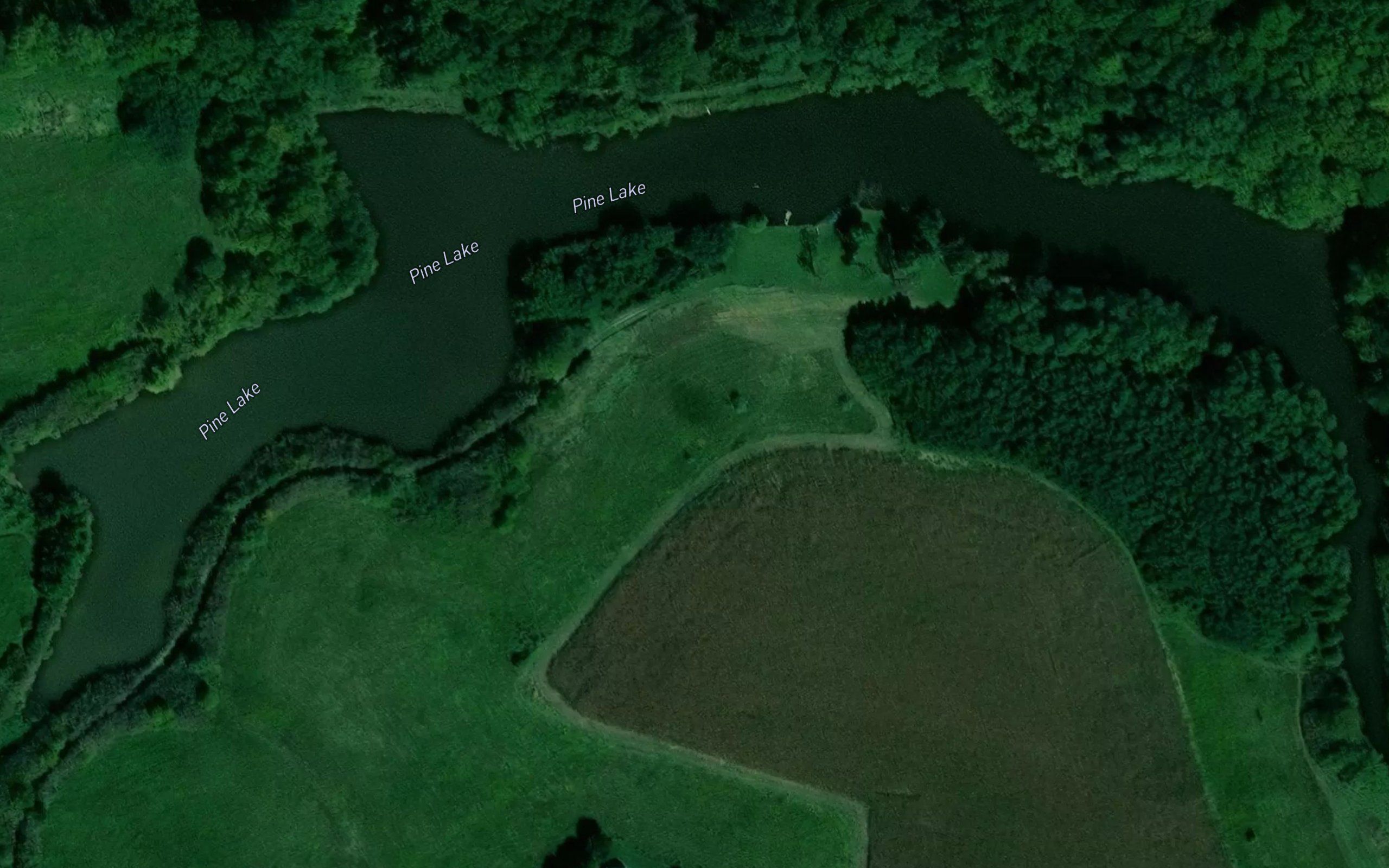 Pine Lake