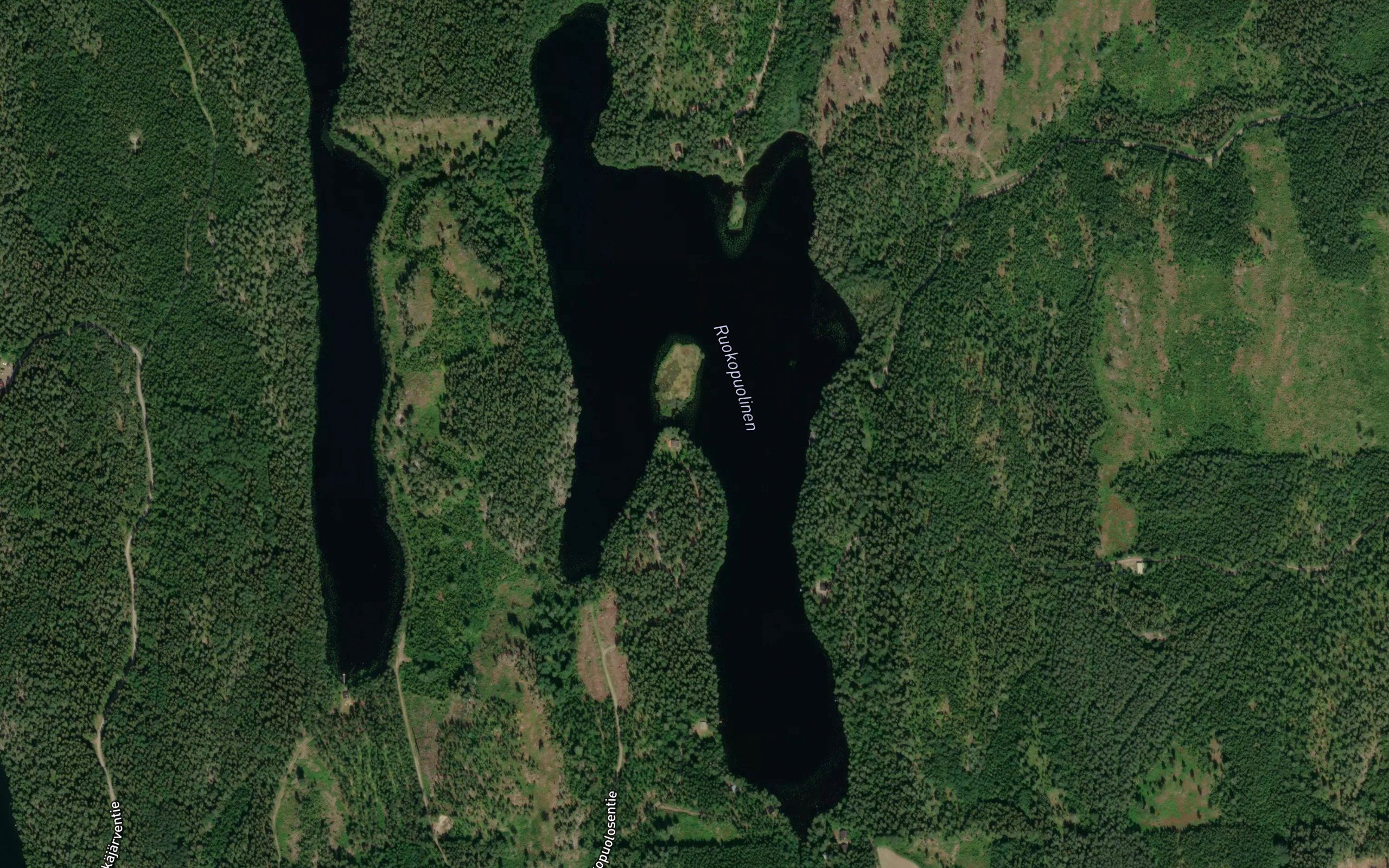 Ruokopuolinen