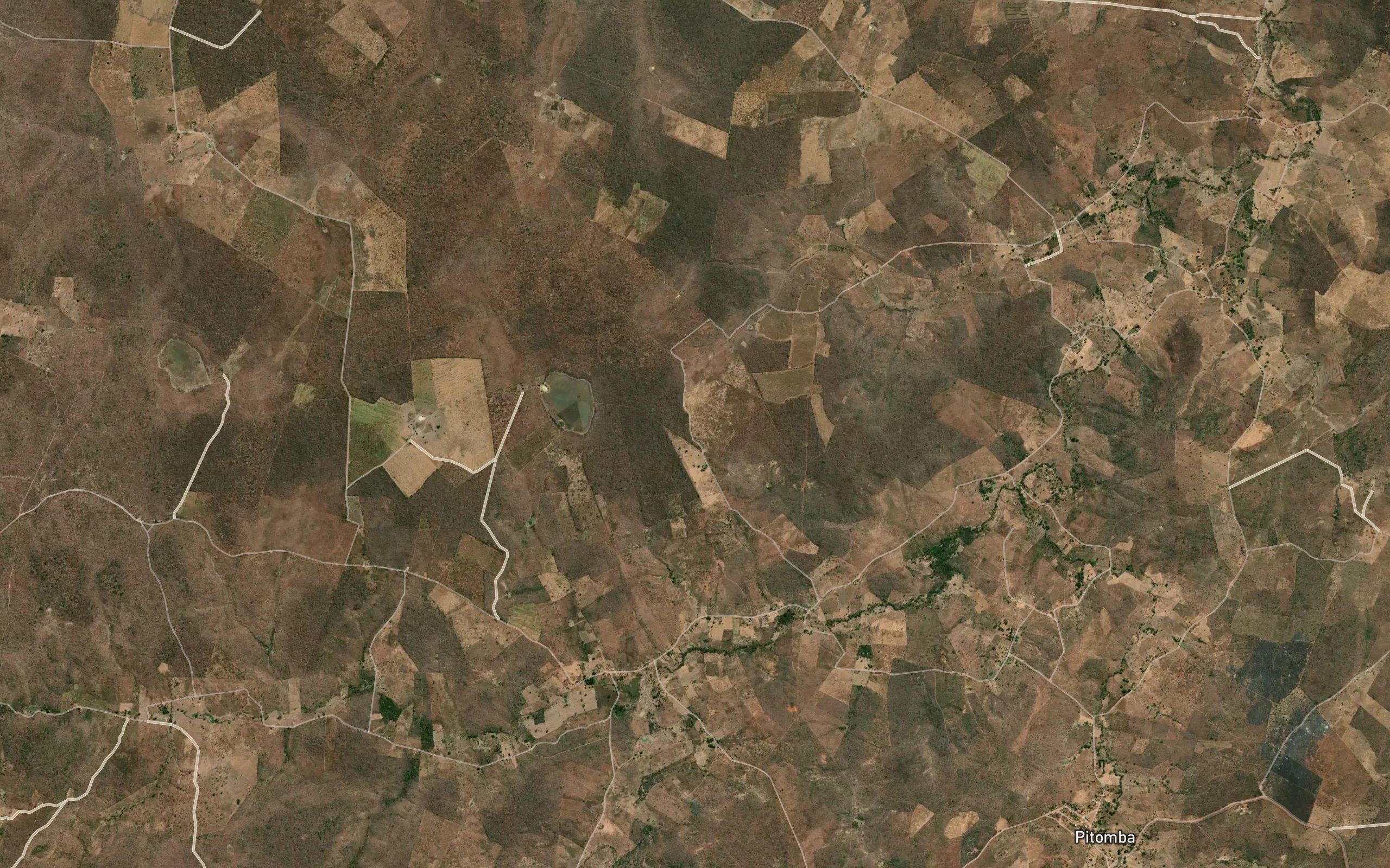 Vereda da Cabeca de Boi