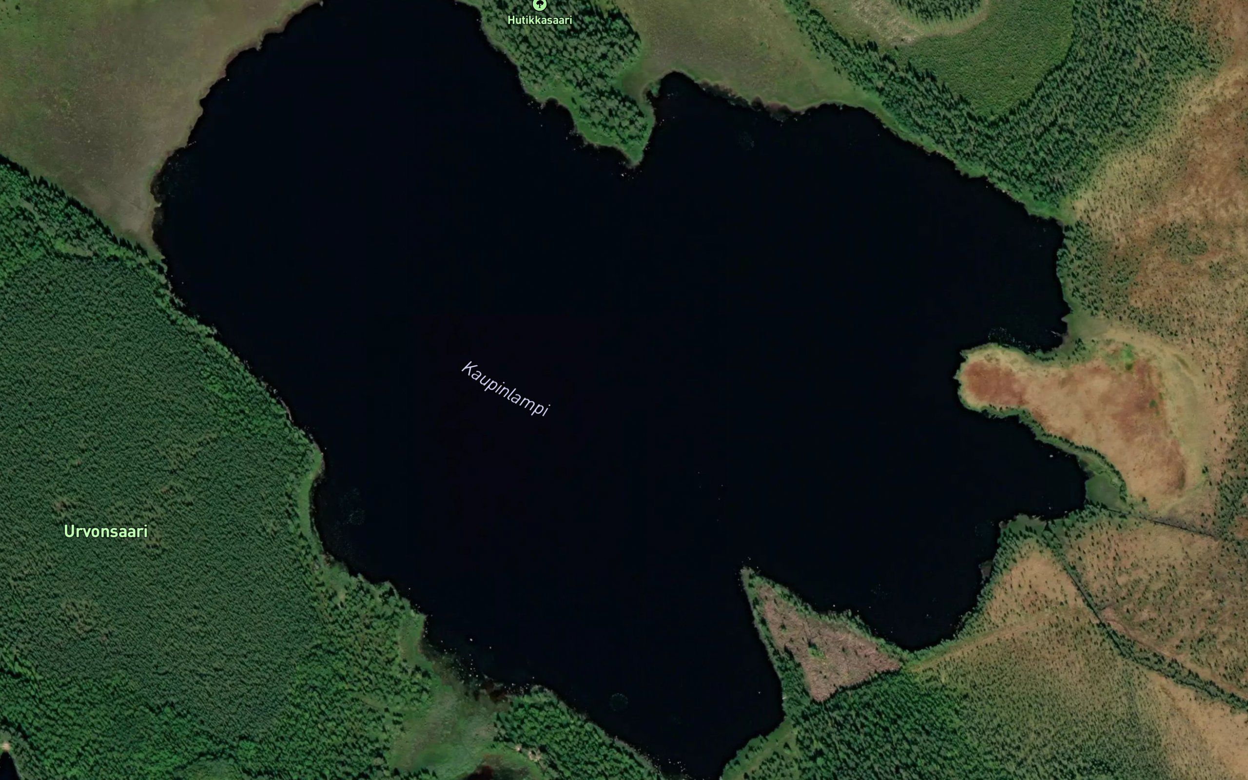 Kaupinlampi
