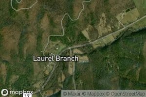 Trout Branch