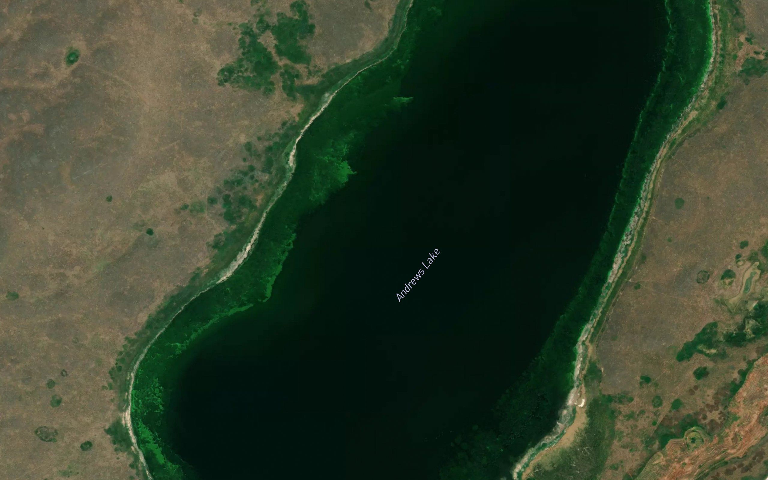 Andrews Lake