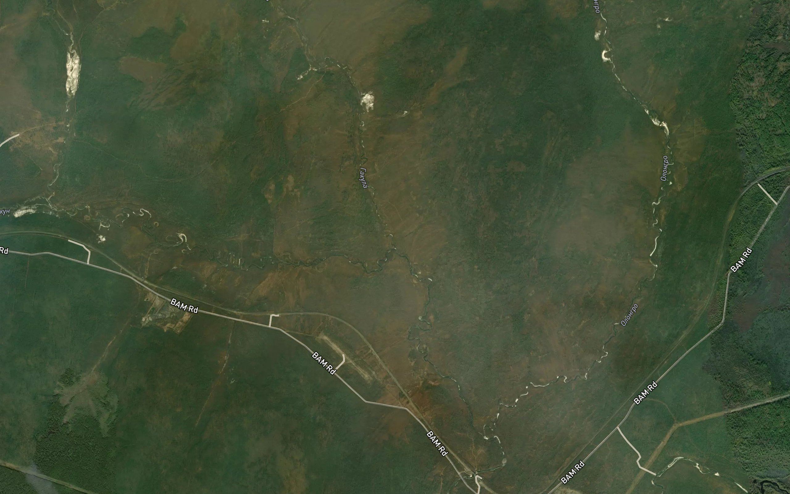 Gakula