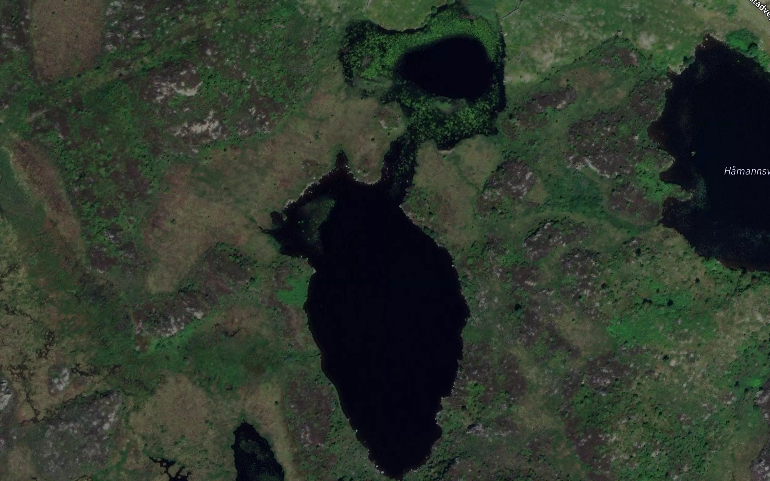 Middagsvatnet