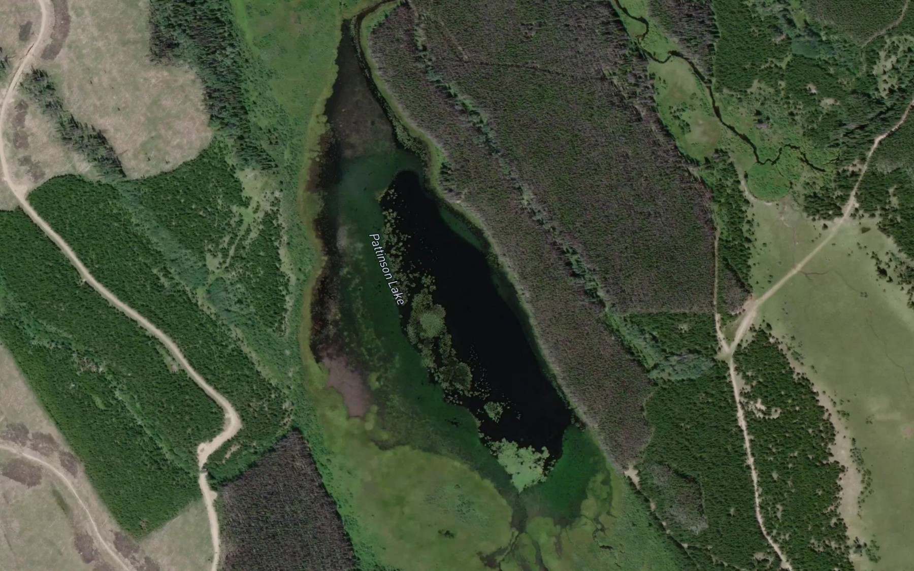 Satellite map of the Pattinson Lake