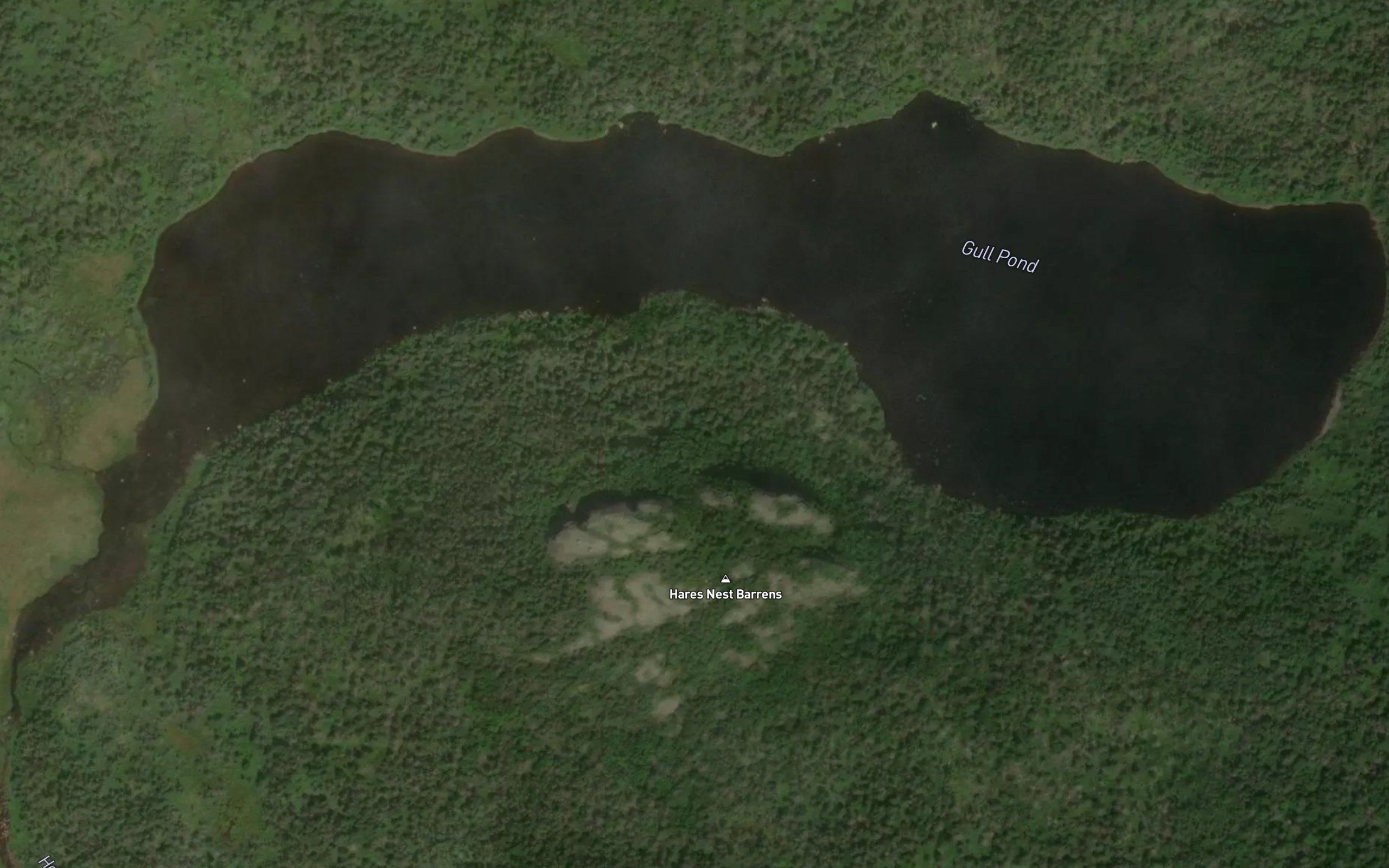 Gull Pond