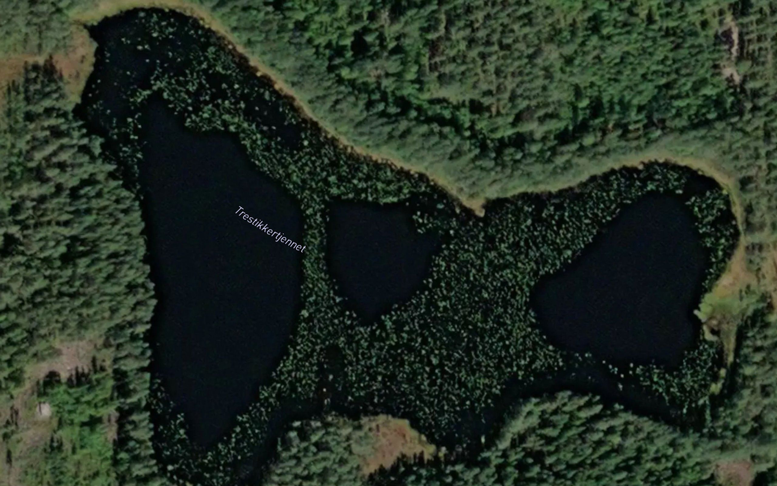 Trestikkertjennet
