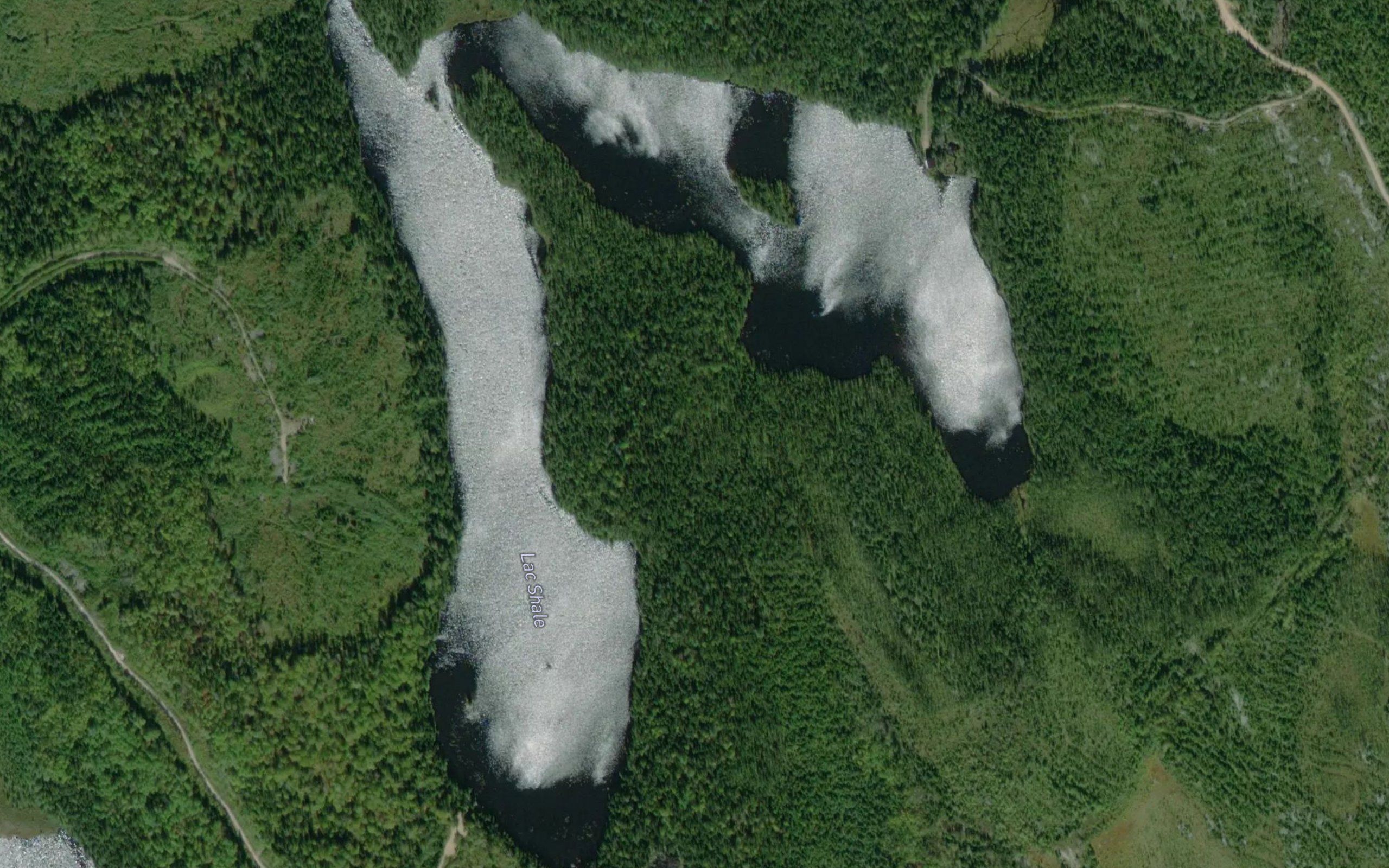 Lac Shale