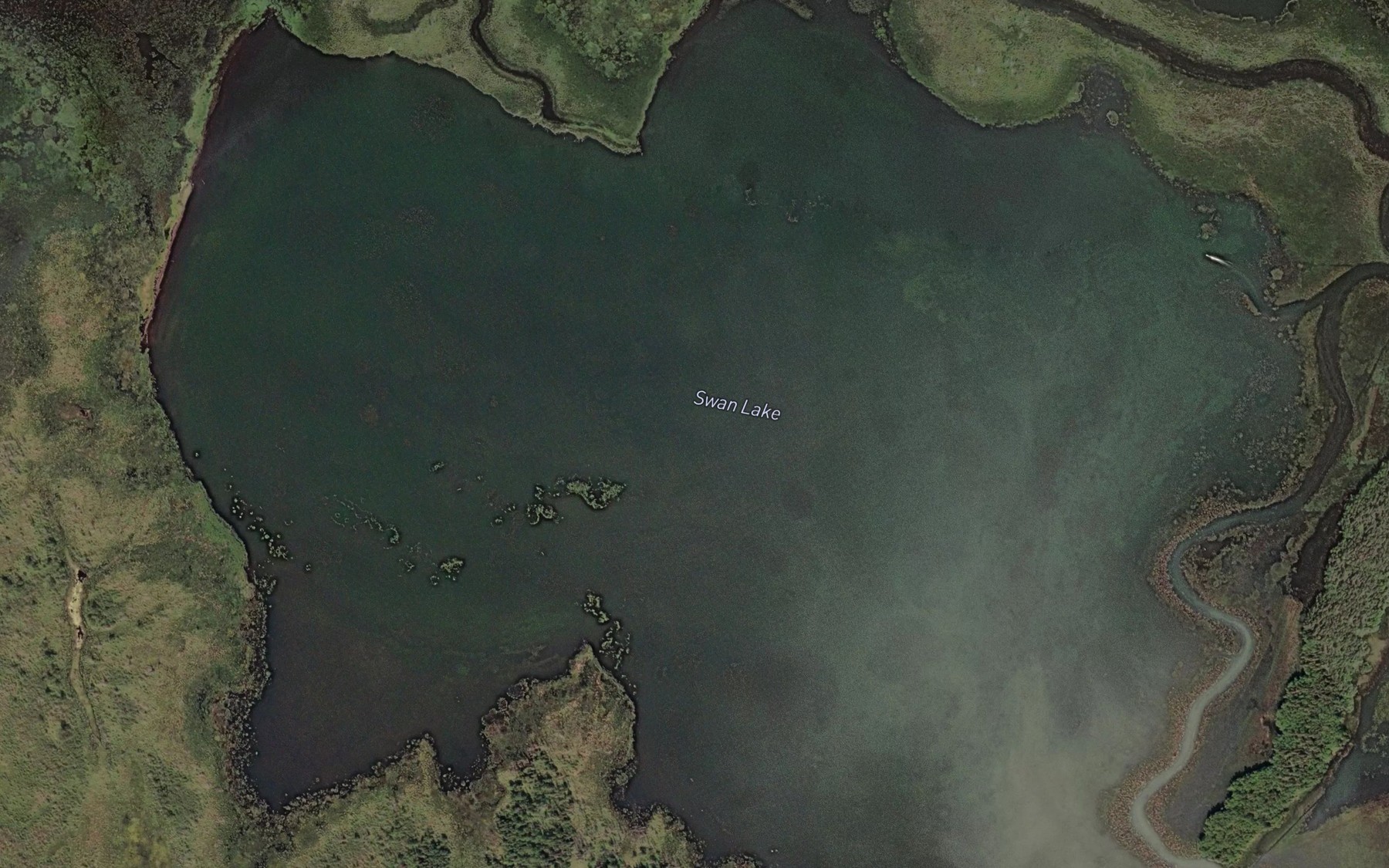 Satellite map of the Swan Lake