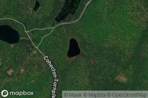 Grassy Swamp Pond
