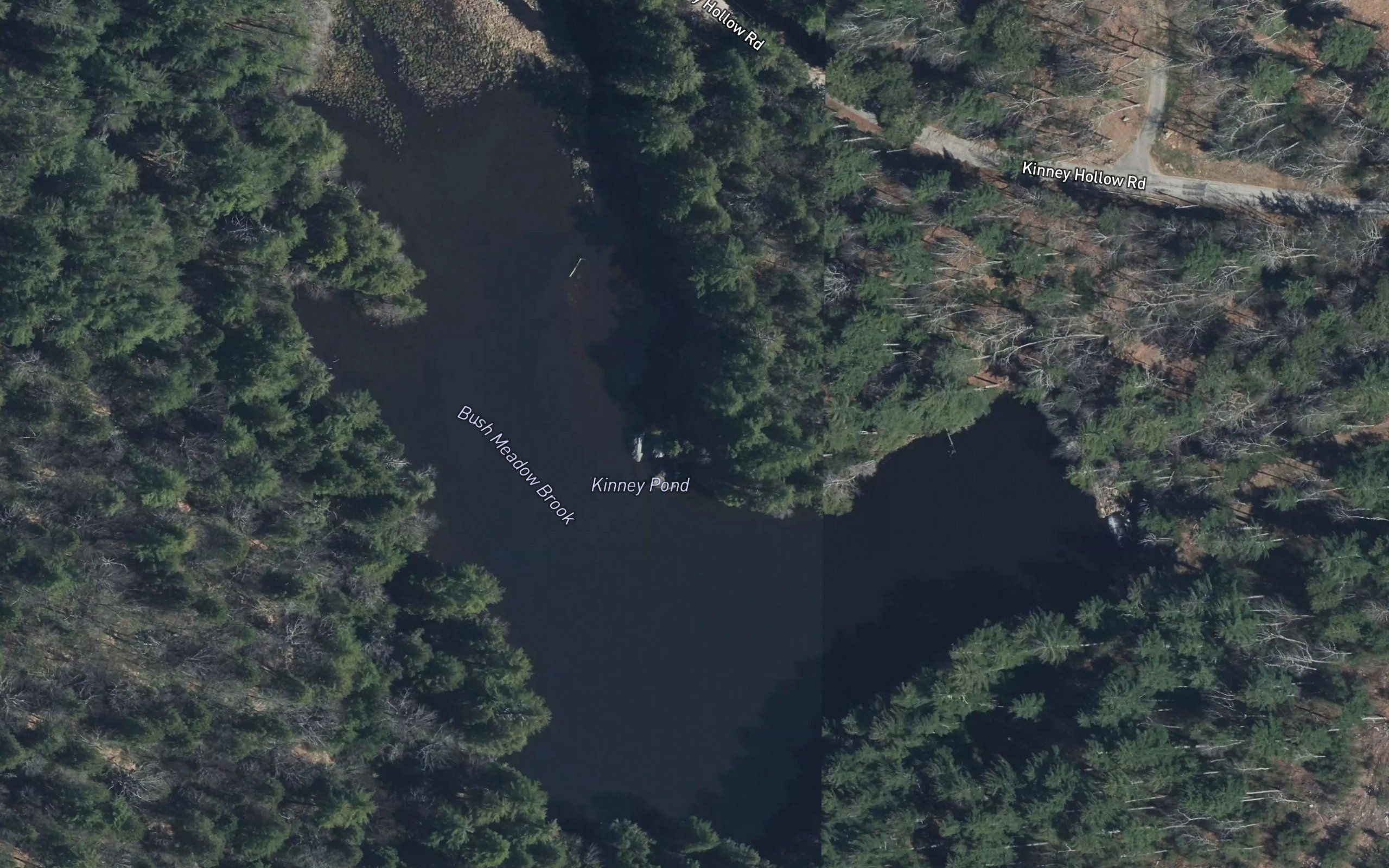 Kinney Pond