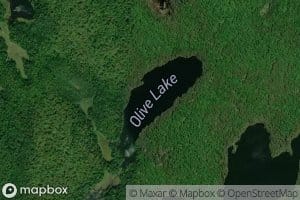 Olive Lake