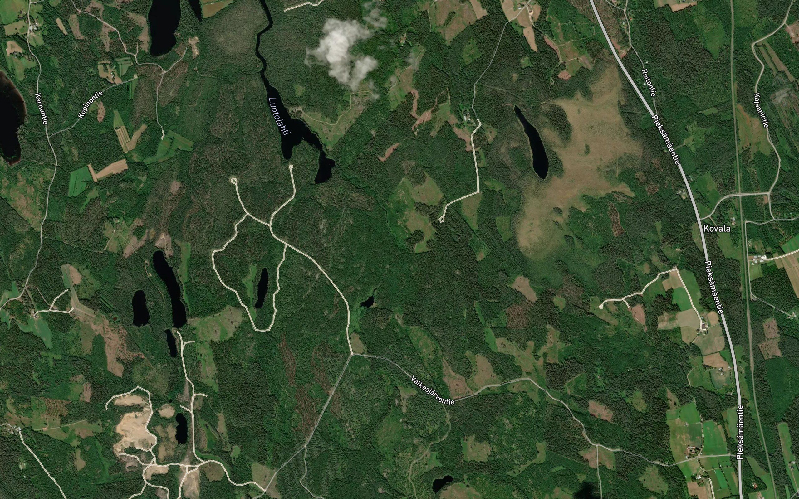 Luoto-oja
