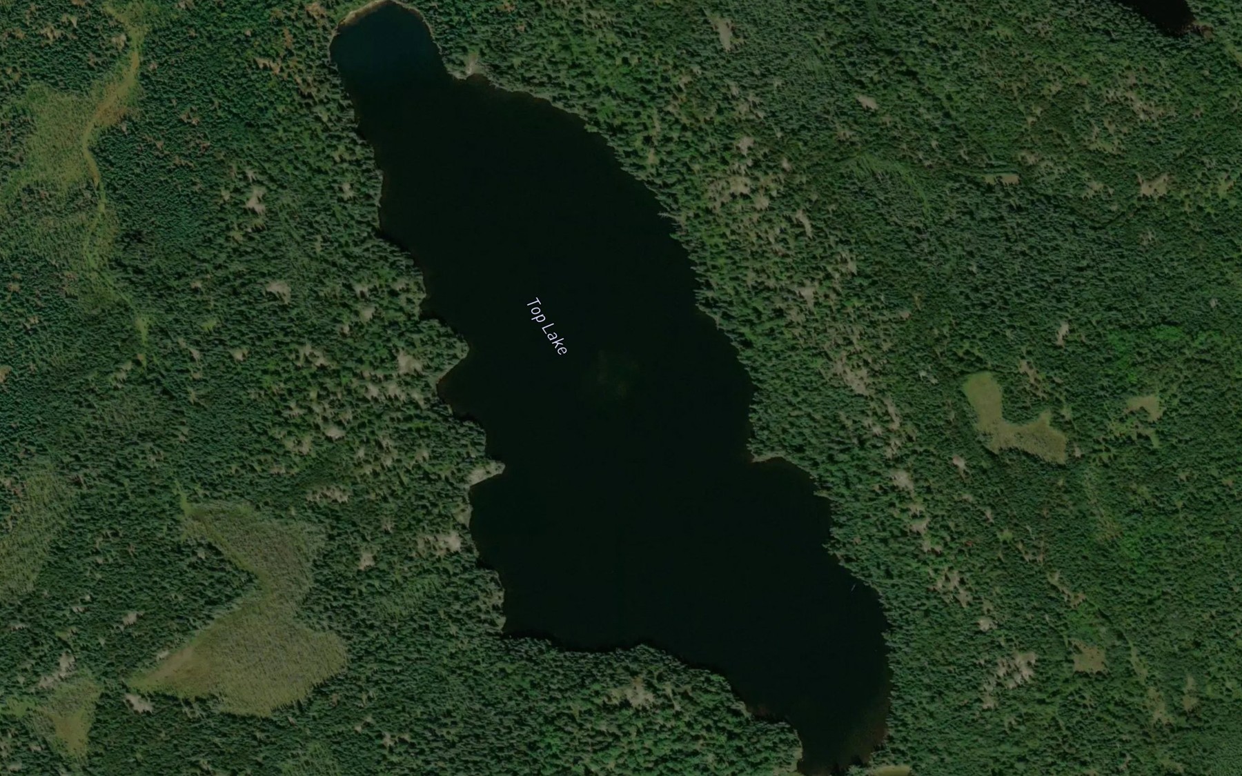 Satellite map of the Top Lake