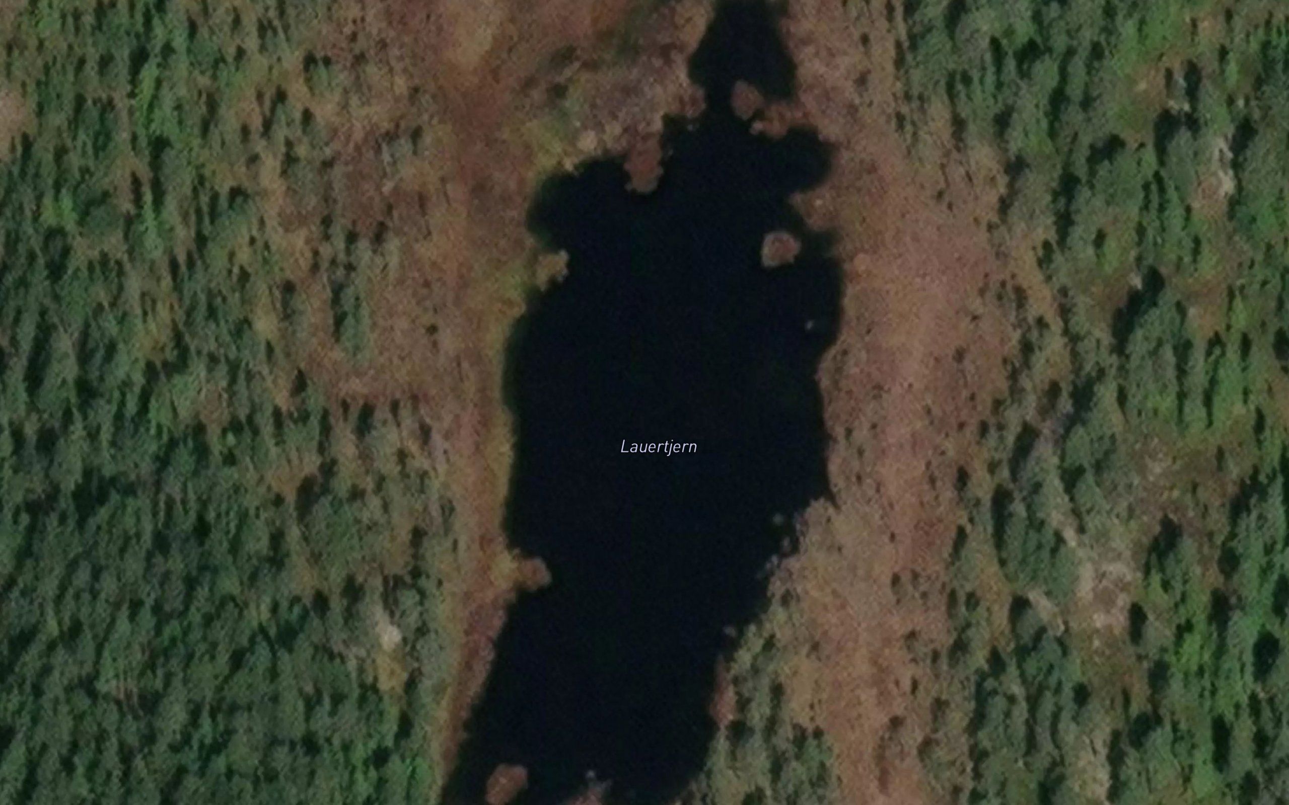 Lauertjern