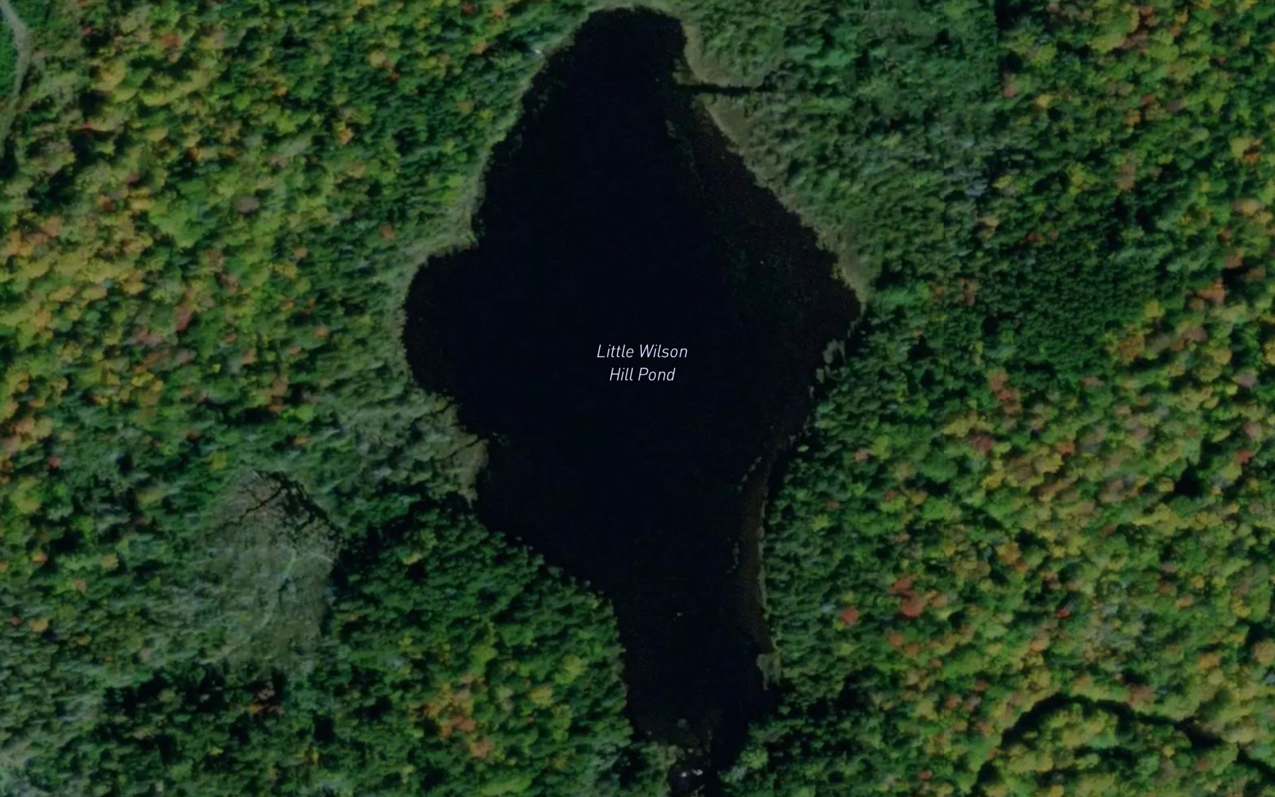 Little Wilson Hill Pond