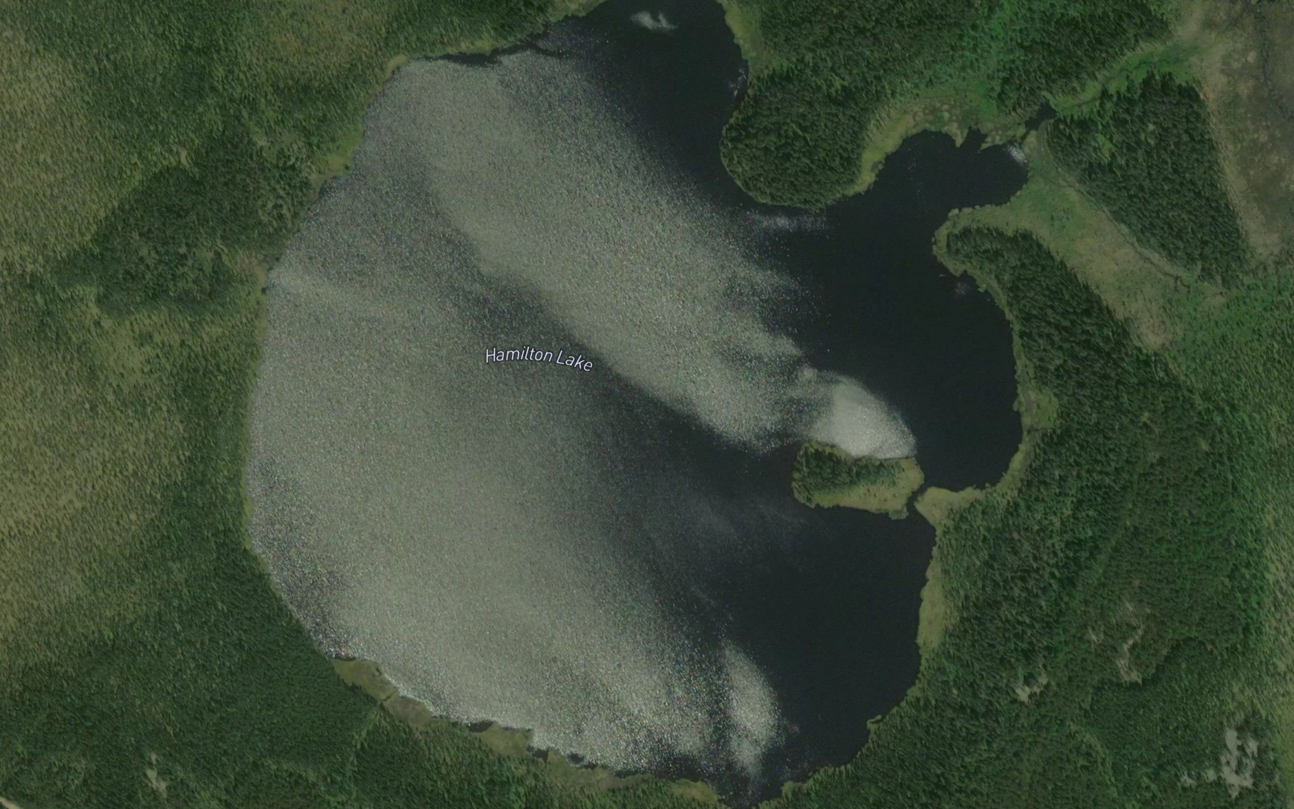 Hamilton Lake