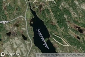 Skjervongen