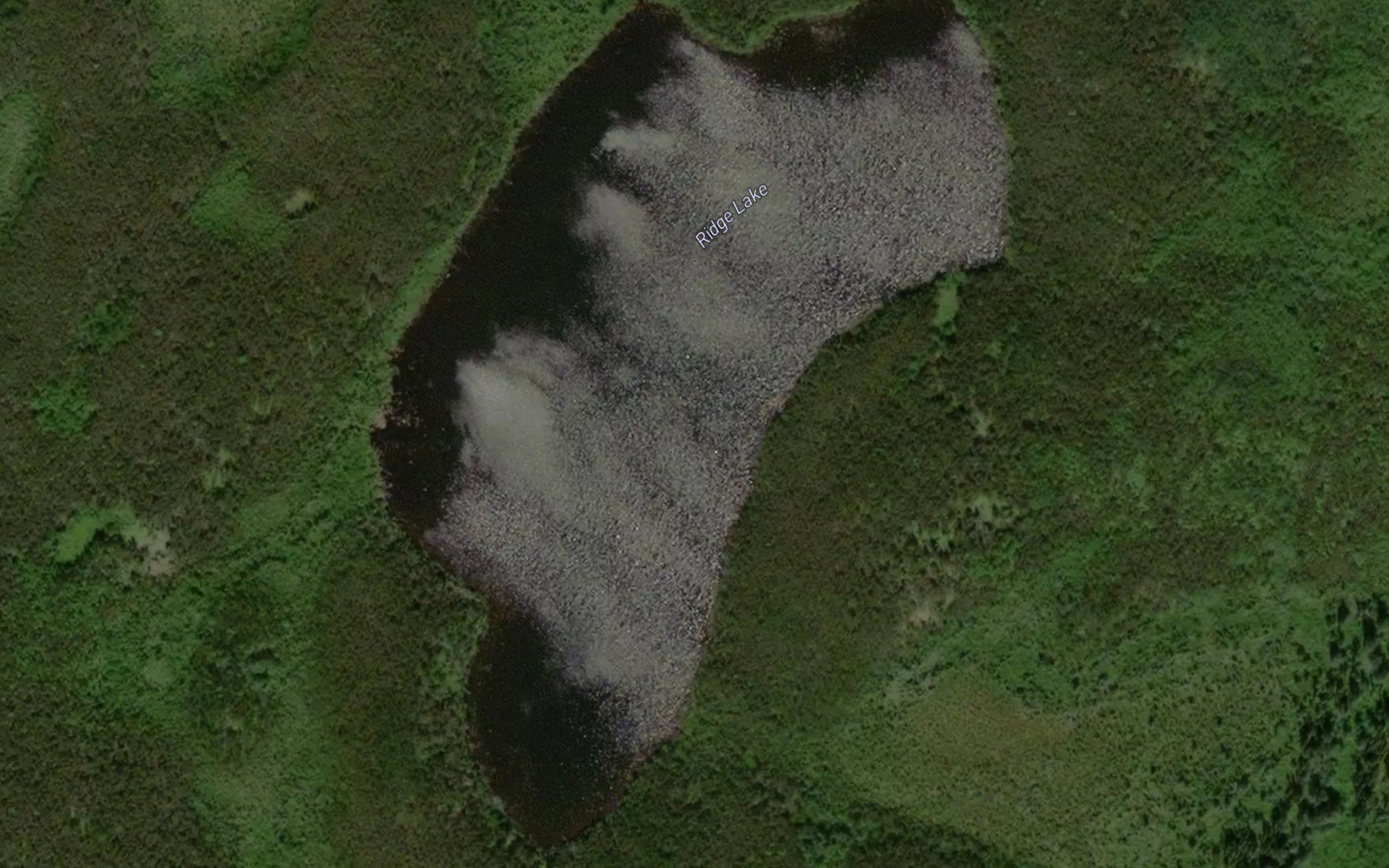Ridge Lake