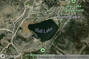 Gull Lake