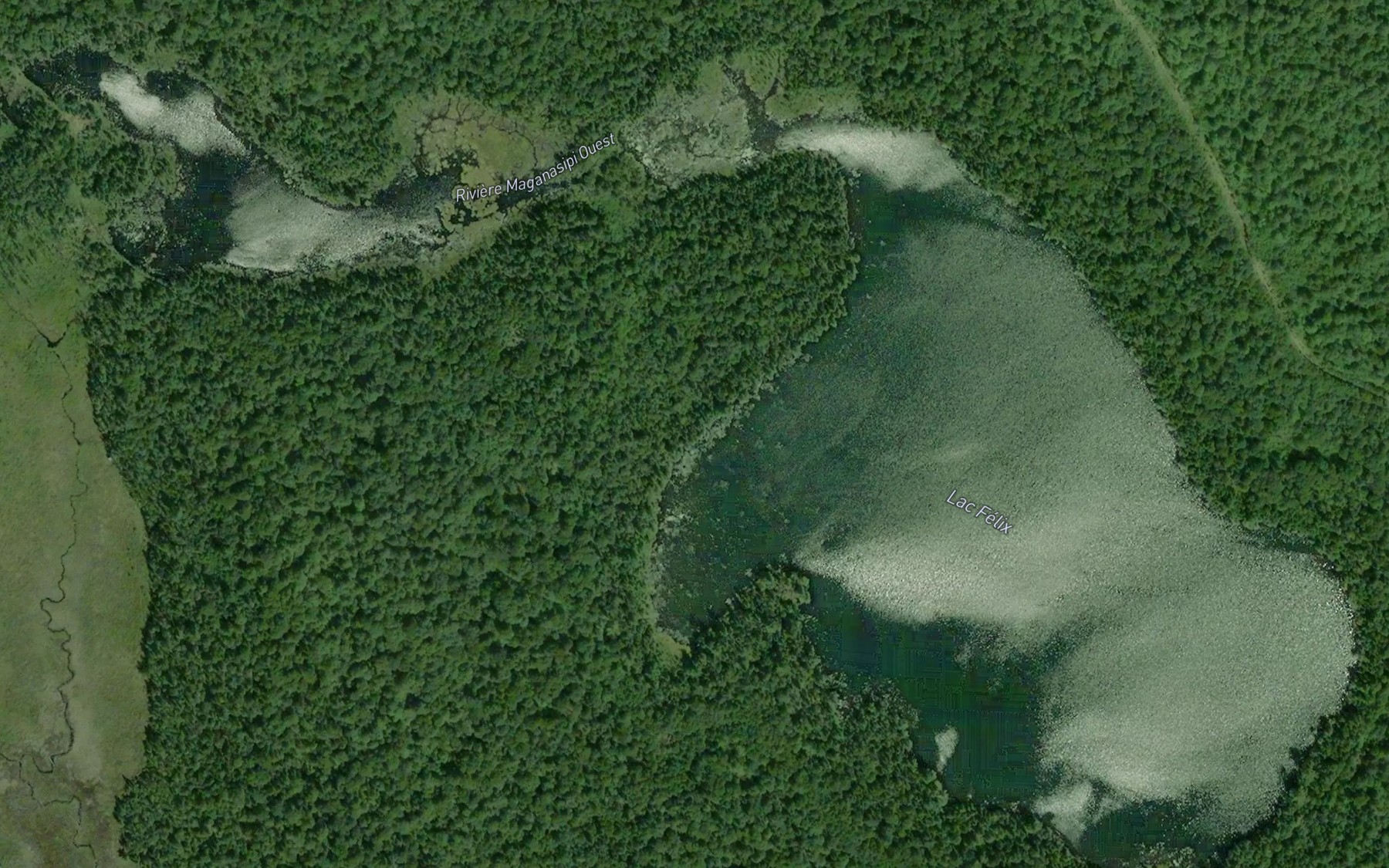 Satellite map of the Lac Felix