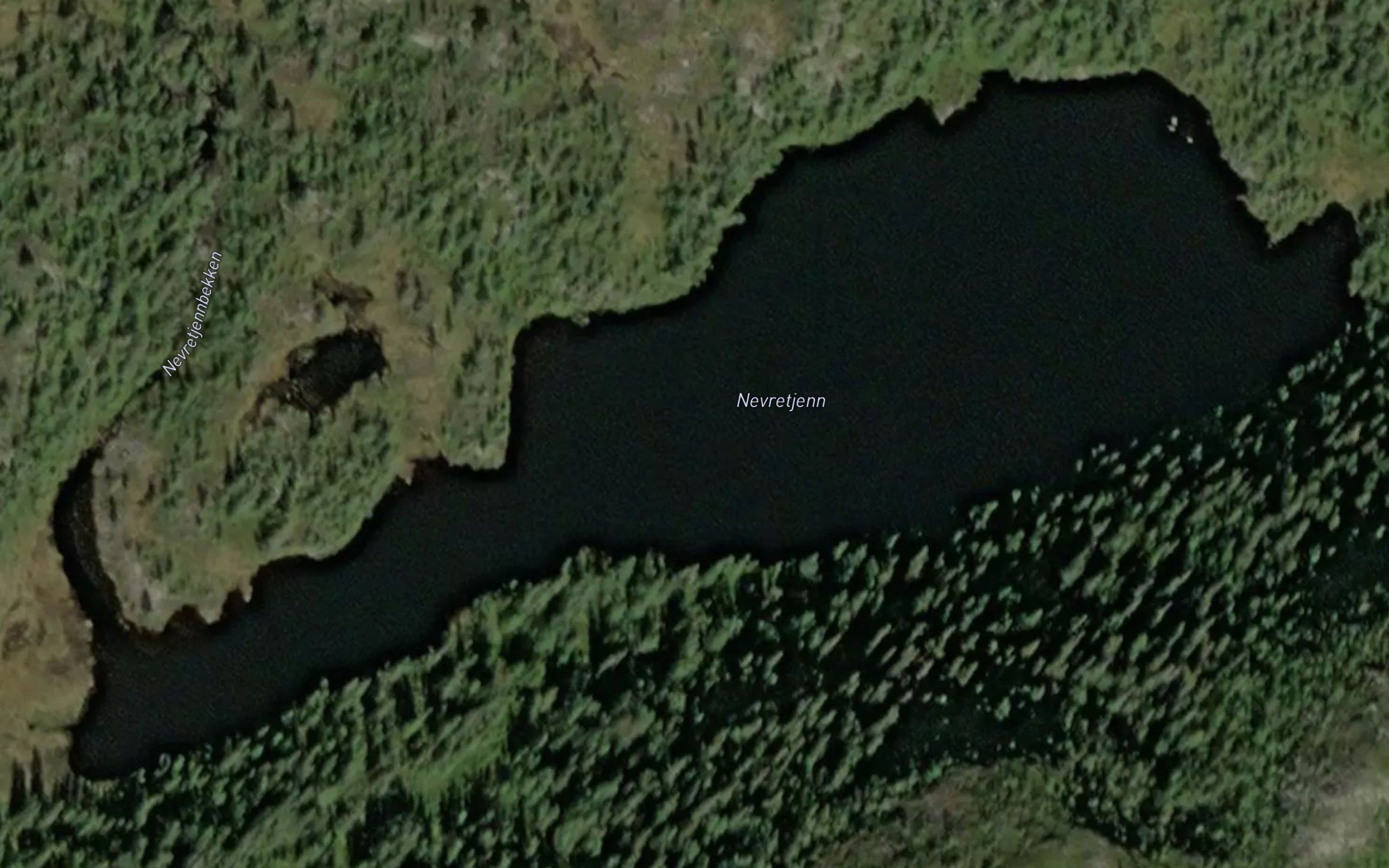Nevratjern