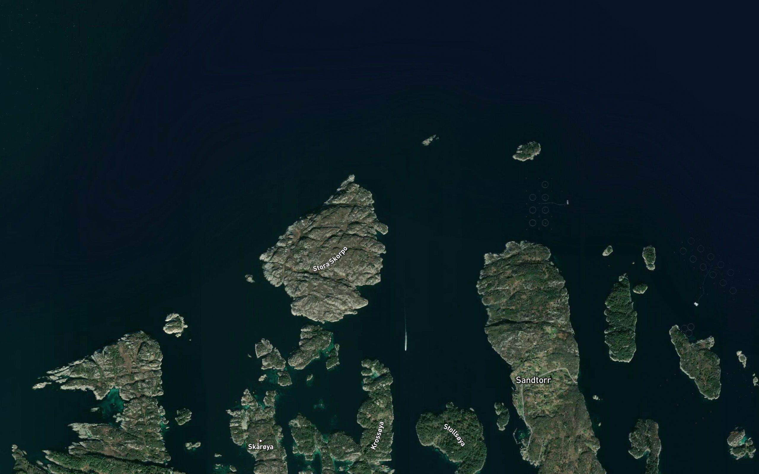 Skipavik