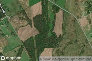 Moose Creek