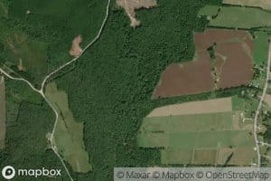 Barnesville Creek