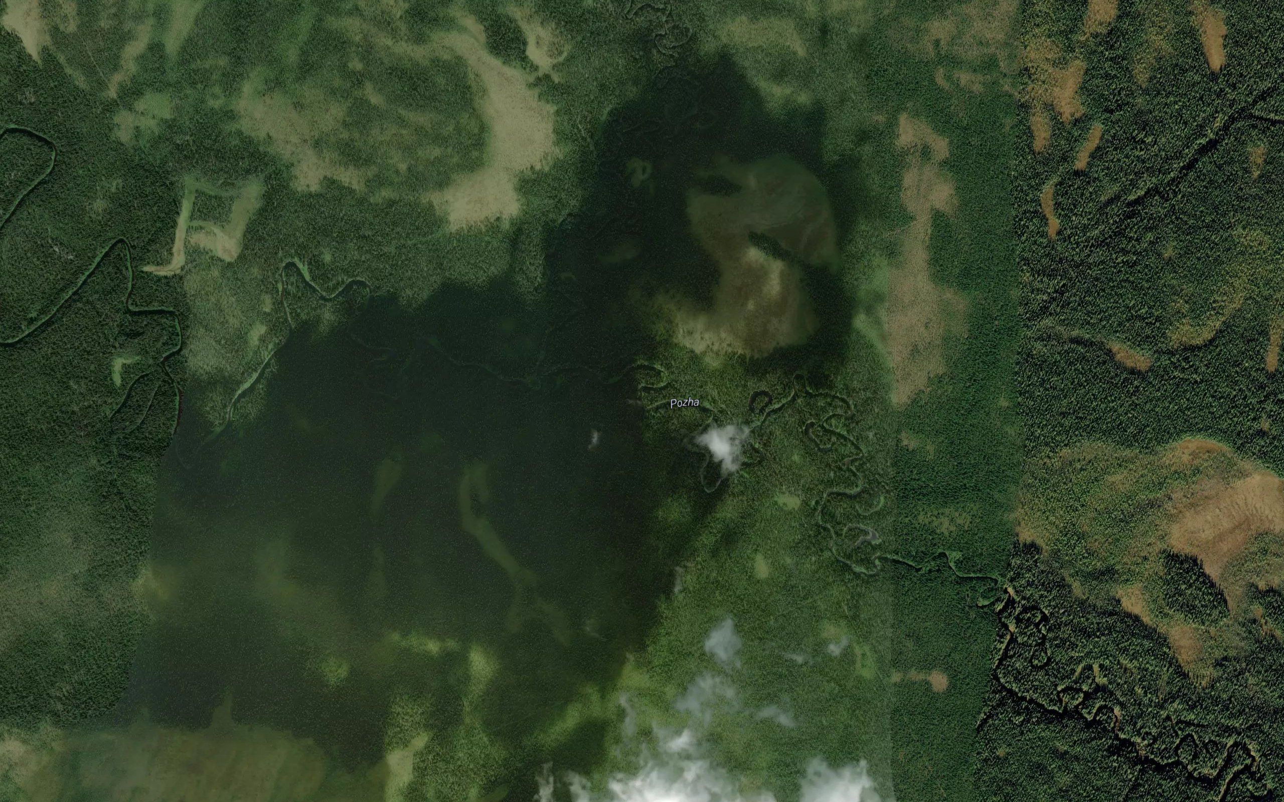 Berezovaya