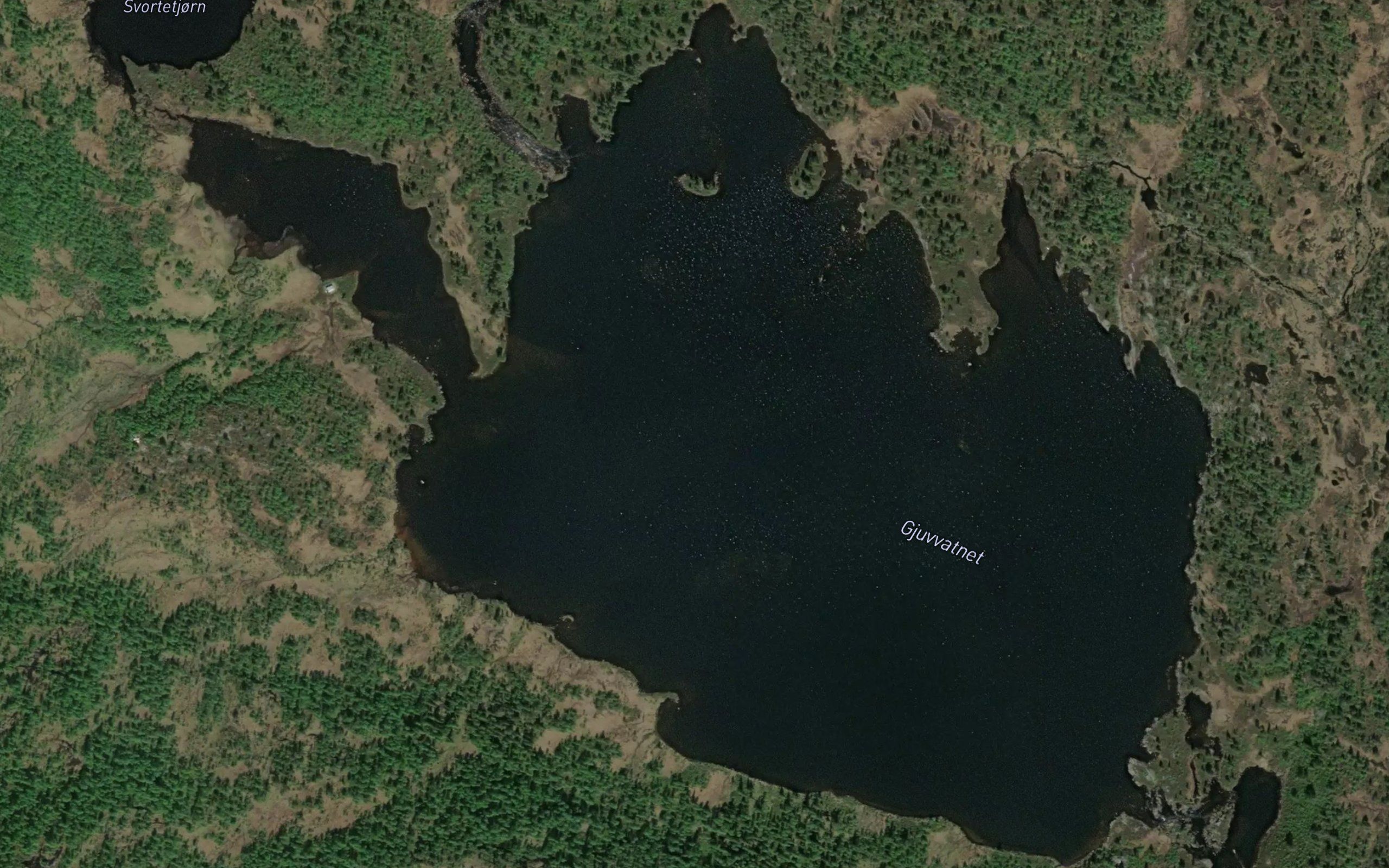 Gjuvvatnet