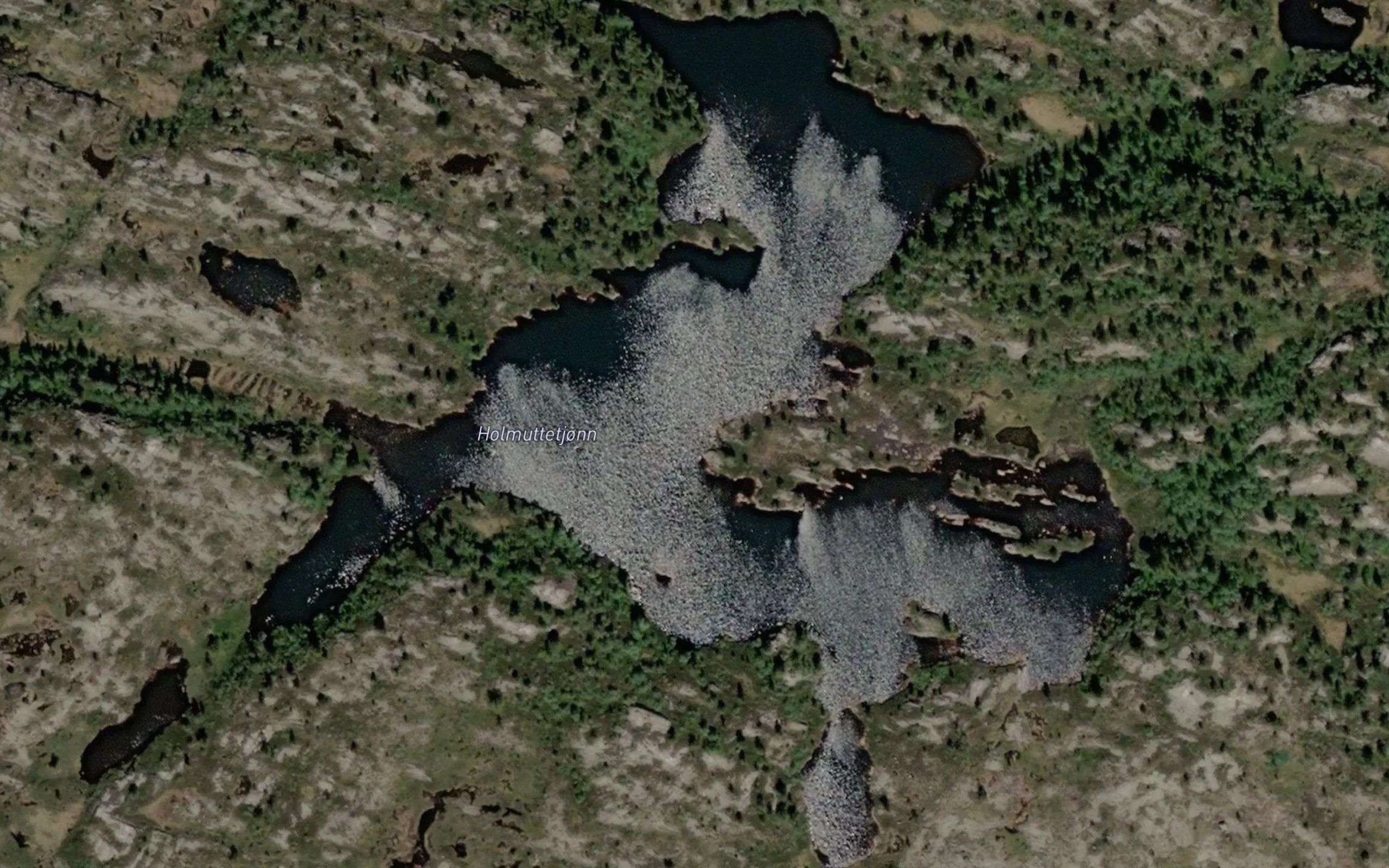 Holmuttetjorn