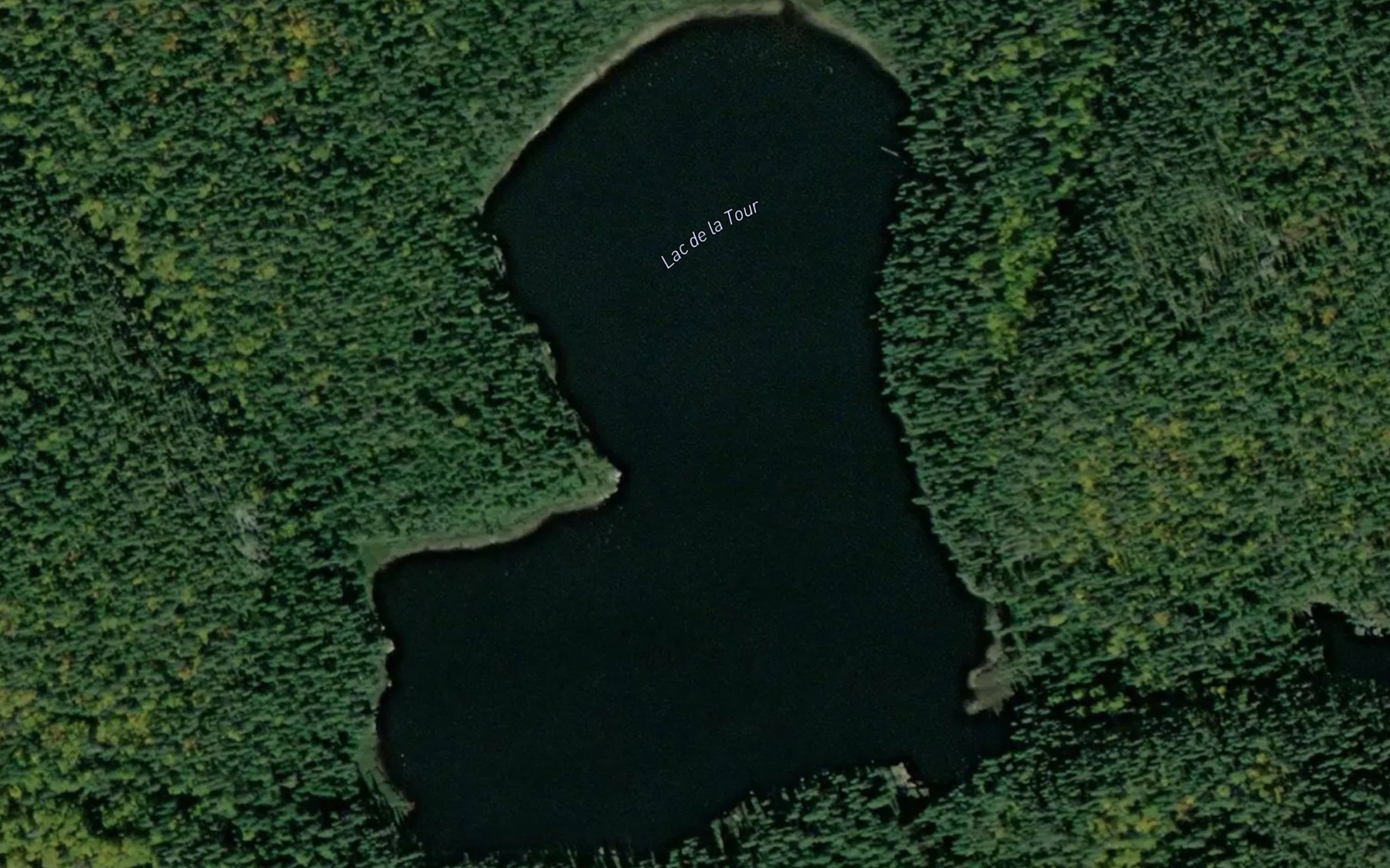 Satellite map of the Lac de la Tour