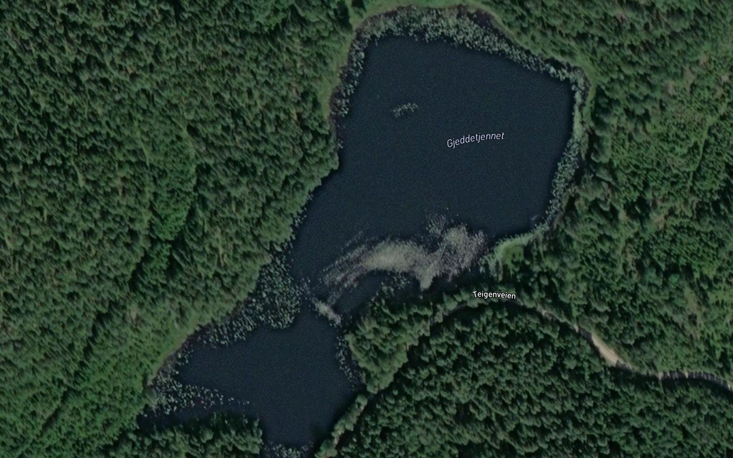 Gjeddetjernet