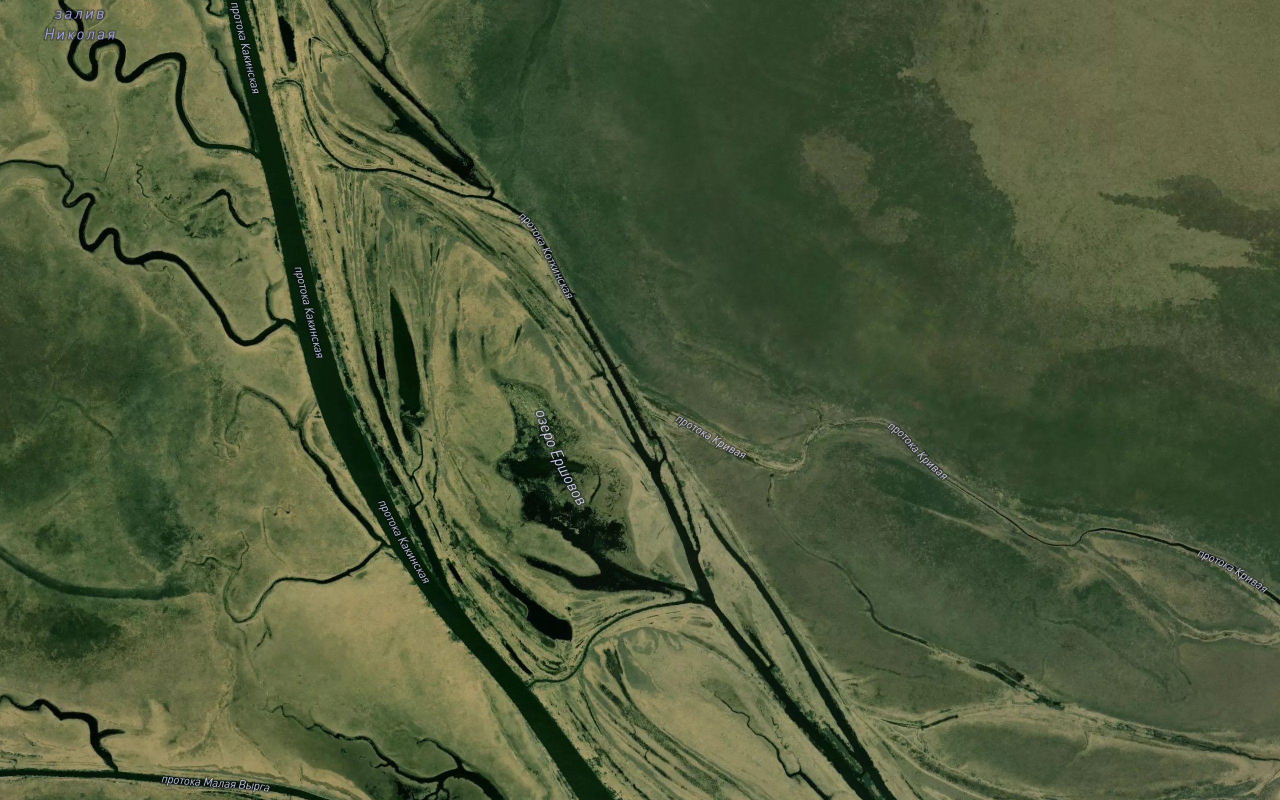 Protoka Krivaya