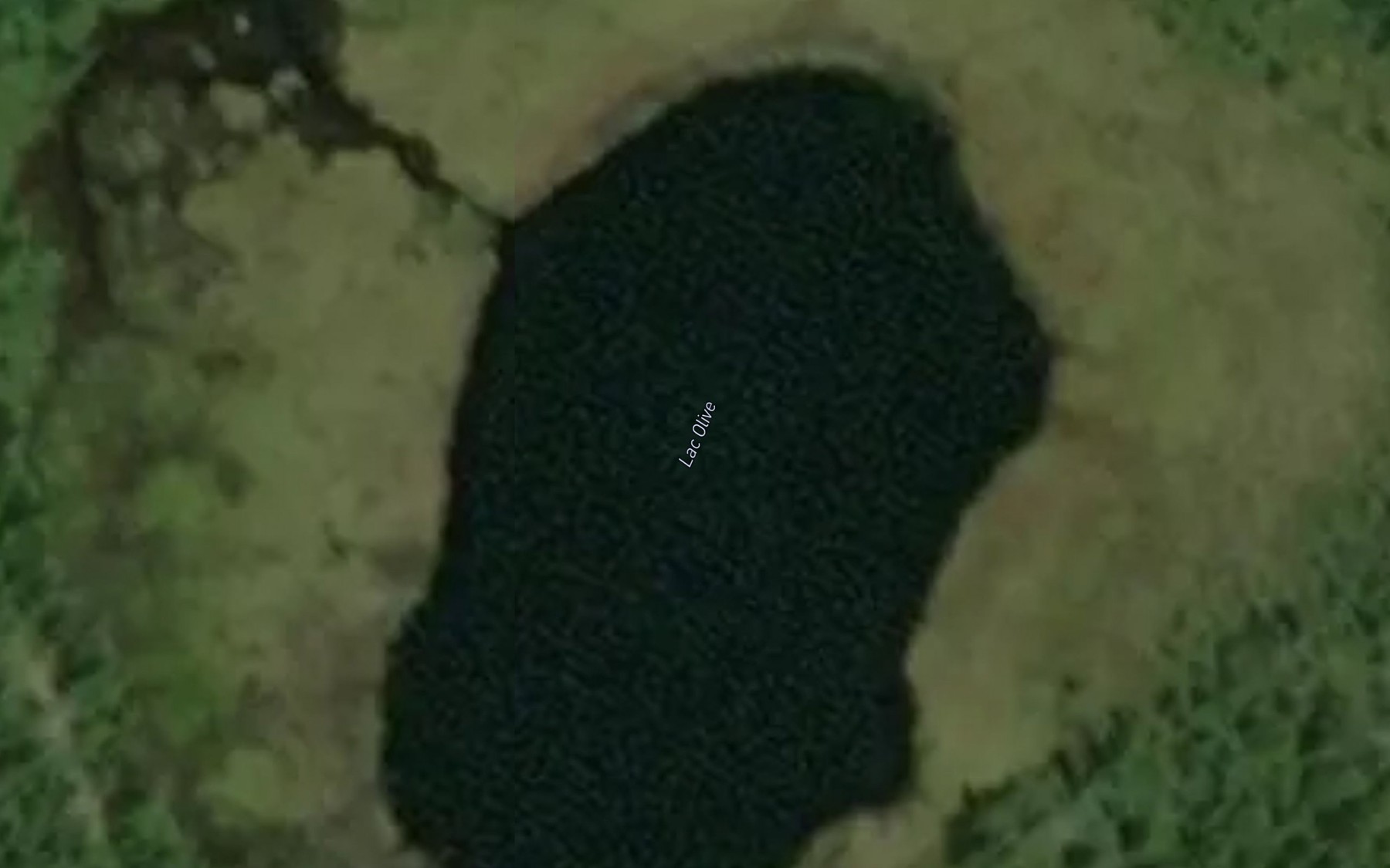 Satellite map of the Lac Olive