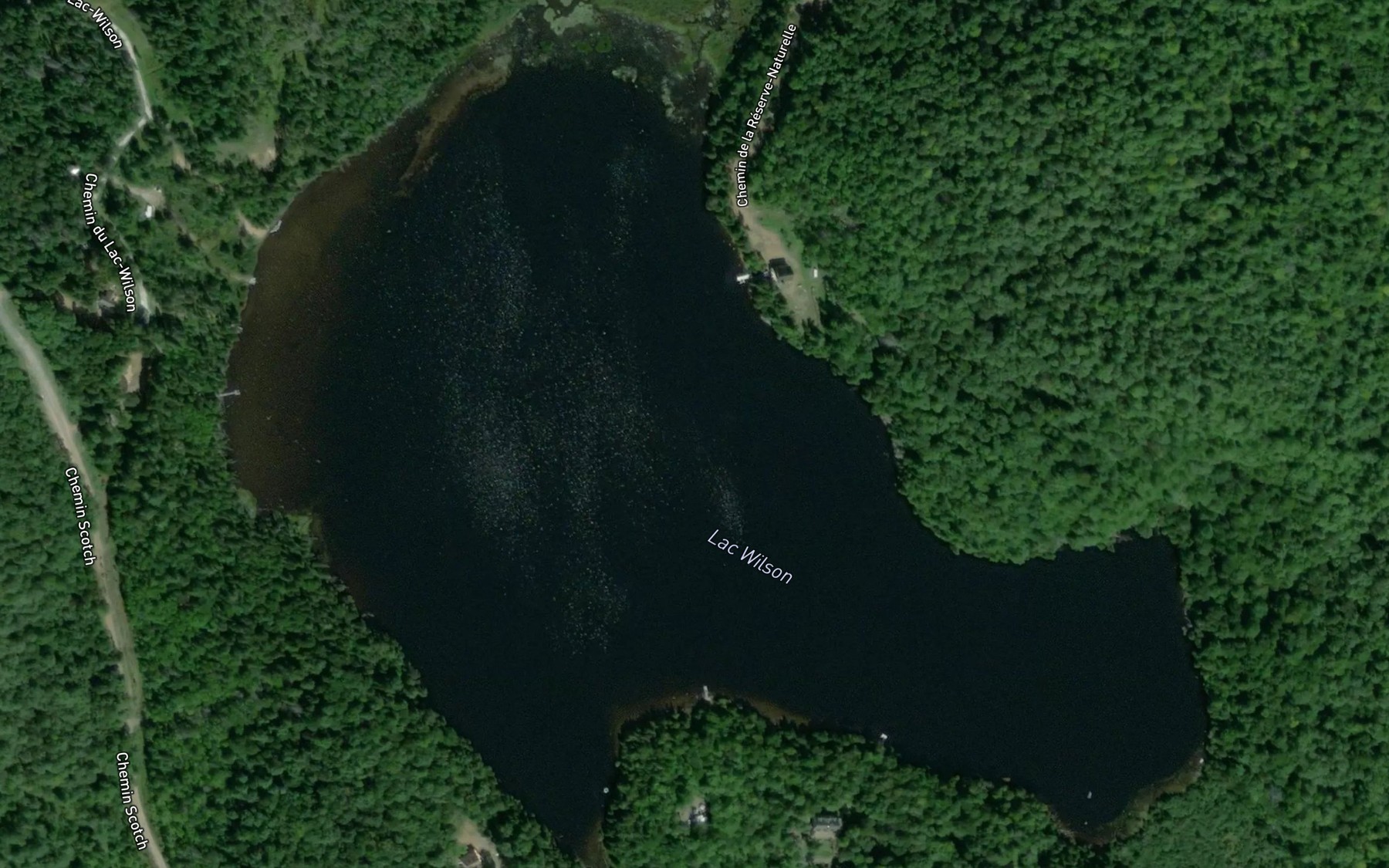 Satellite map of the Lac Wilson