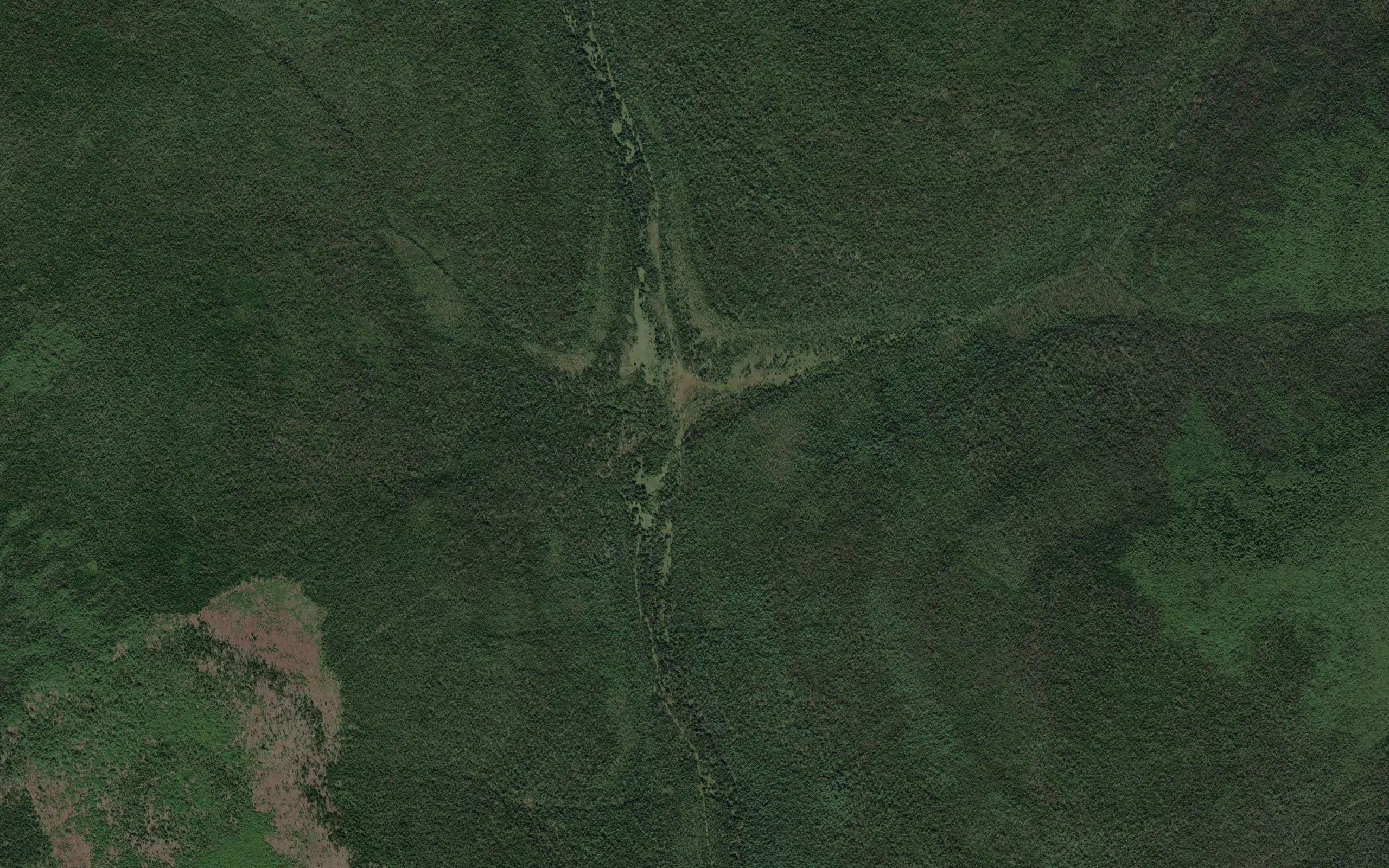 Razvilistyy