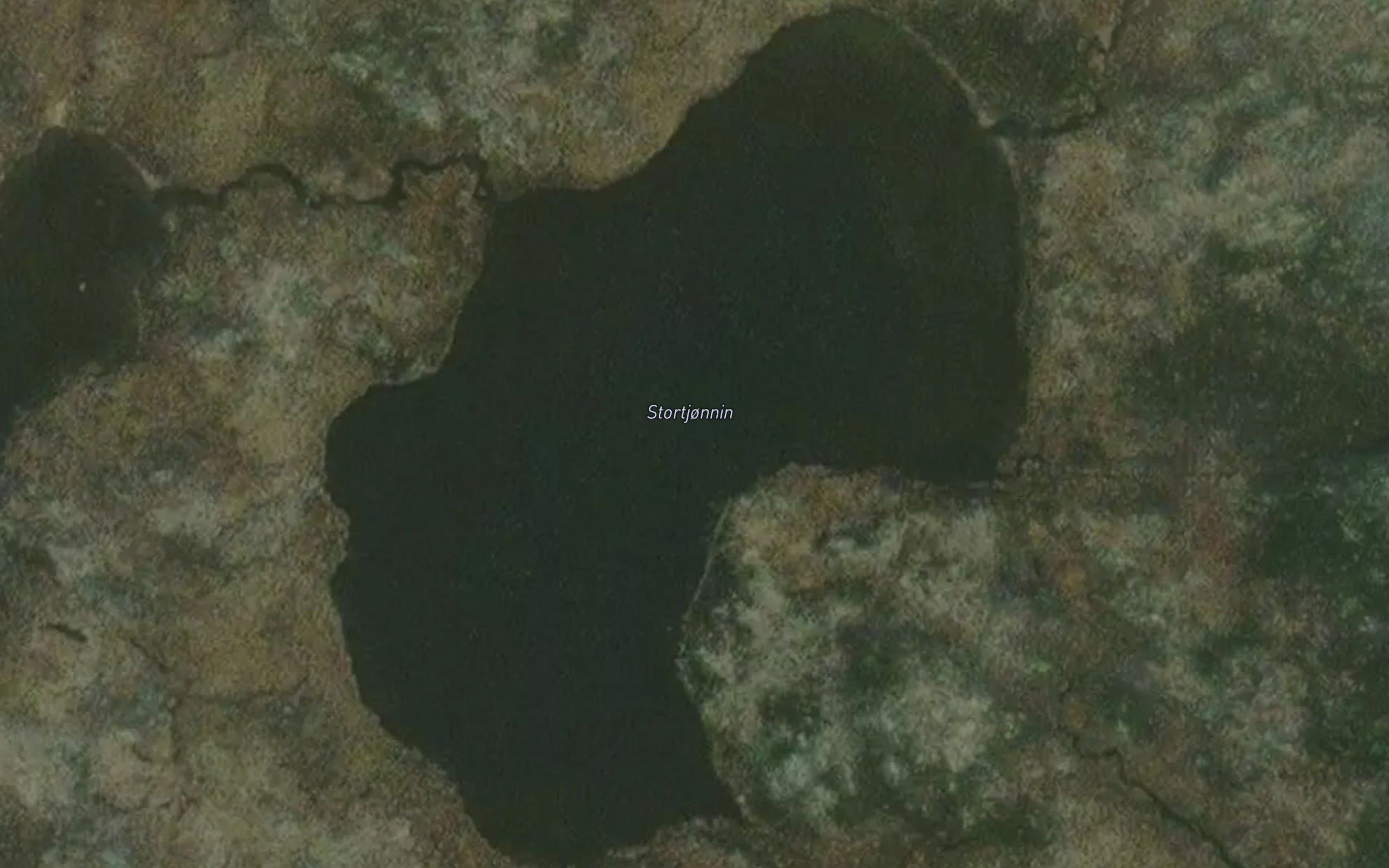 Stortjornane
