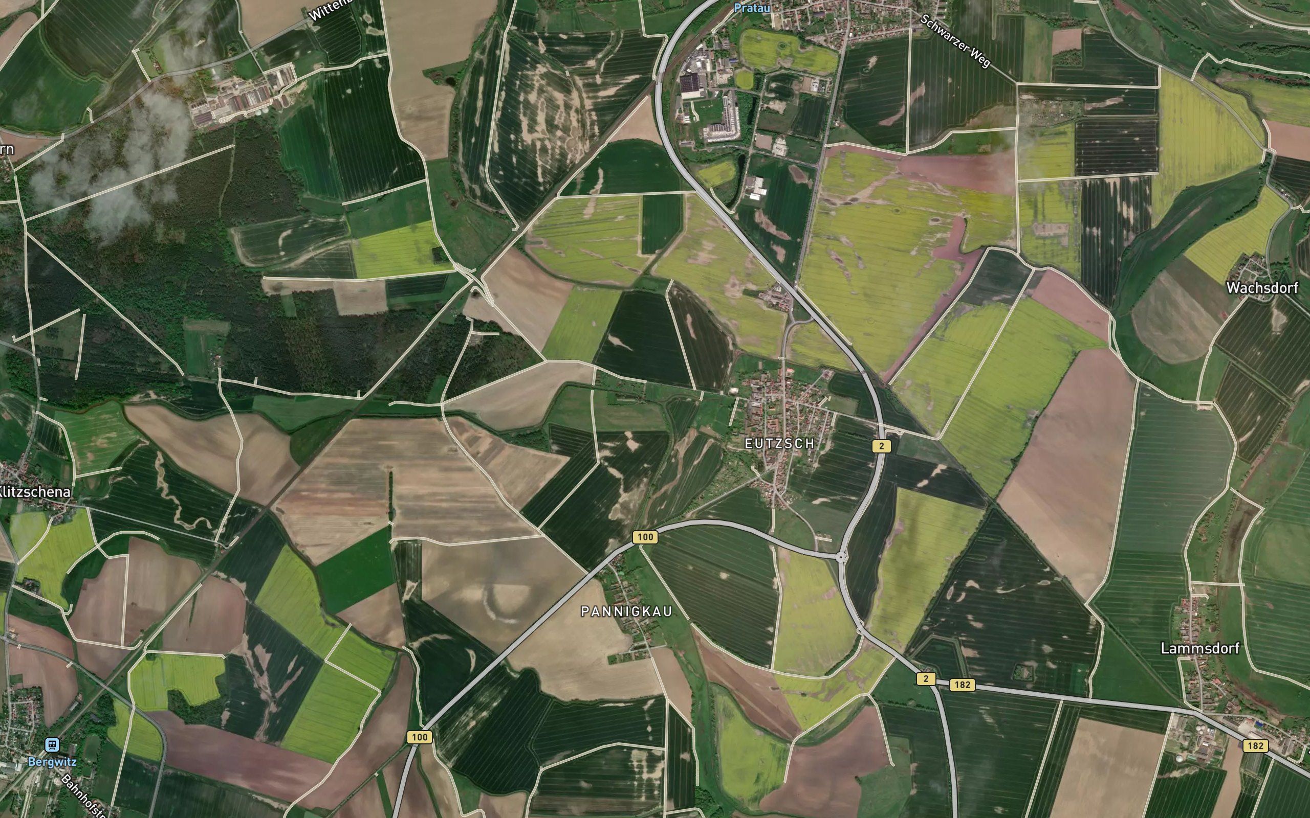 Graubach